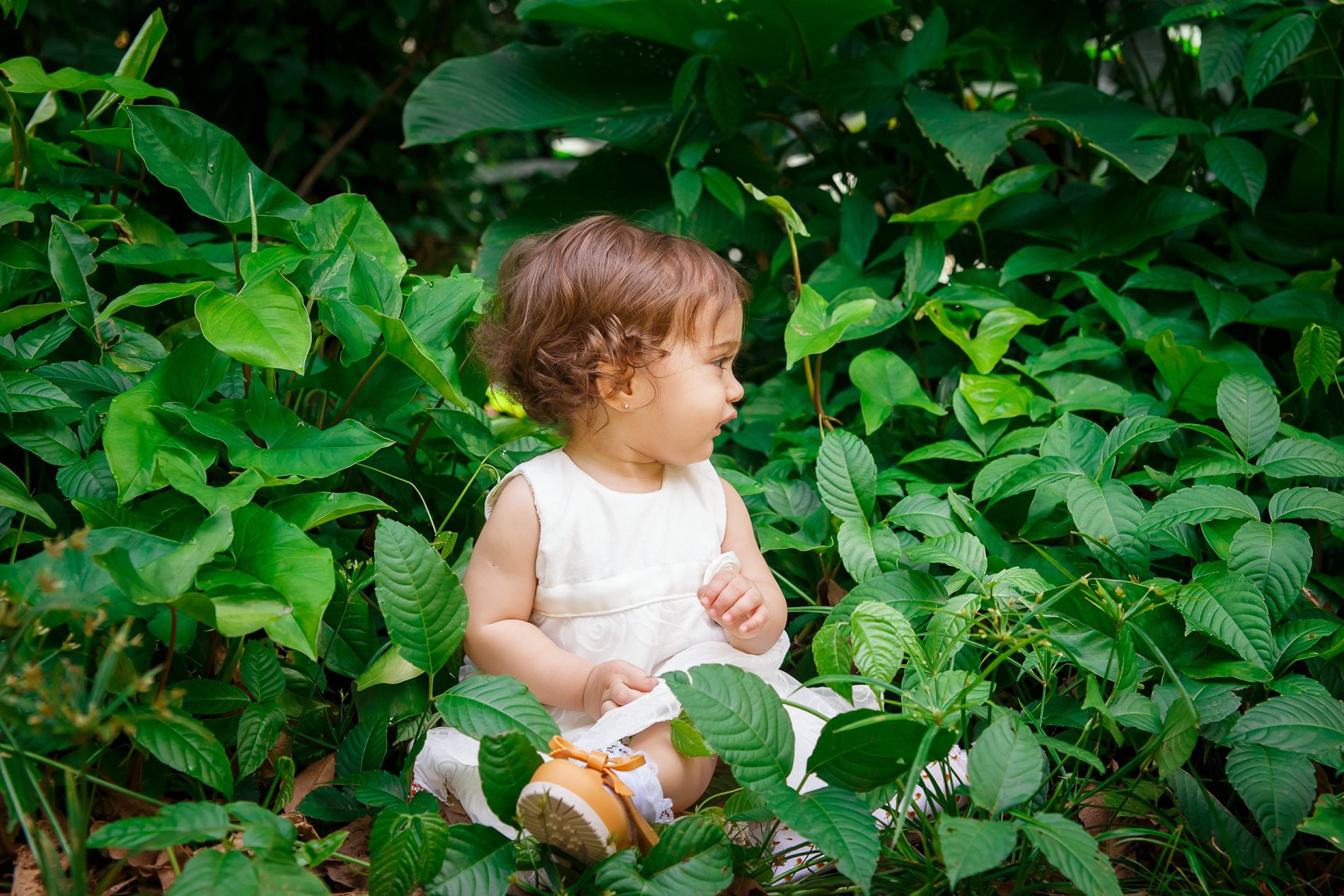 O Maravilhoso Ciclo de Um Ano: Encerrando o Acompanhamento da Milena com um Ensaio Familiar no Parque Lage - 2 - 19