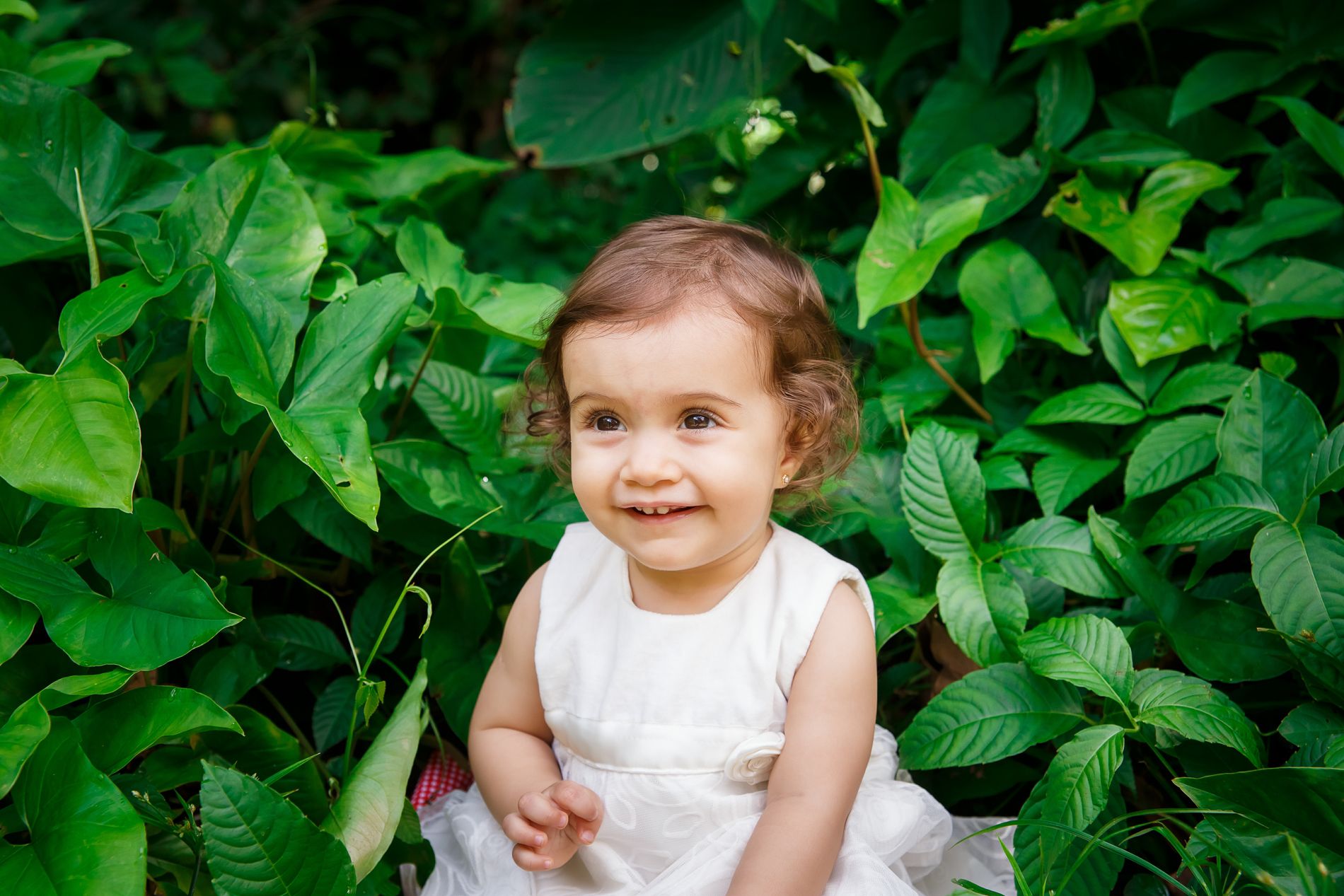 O Maravilhoso Ciclo de Um Ano: Encerrando o Acompanhamento da Milena com um Ensaio Familiar no Parque Lage - 2 - 17