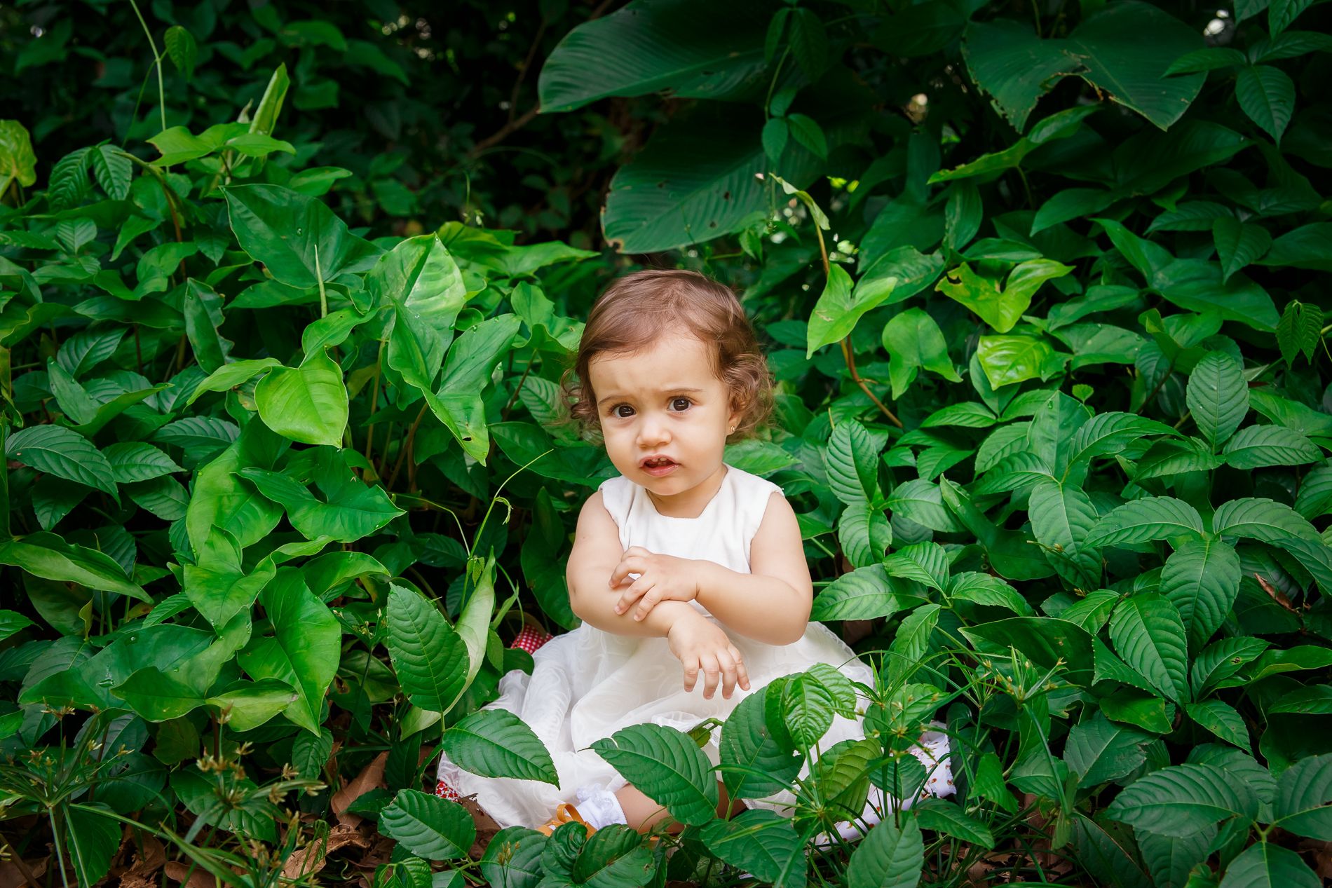 O Maravilhoso Ciclo de Um Ano: Encerrando o Acompanhamento da Milena com um Ensaio Familiar no Parque Lage - 2 - 27