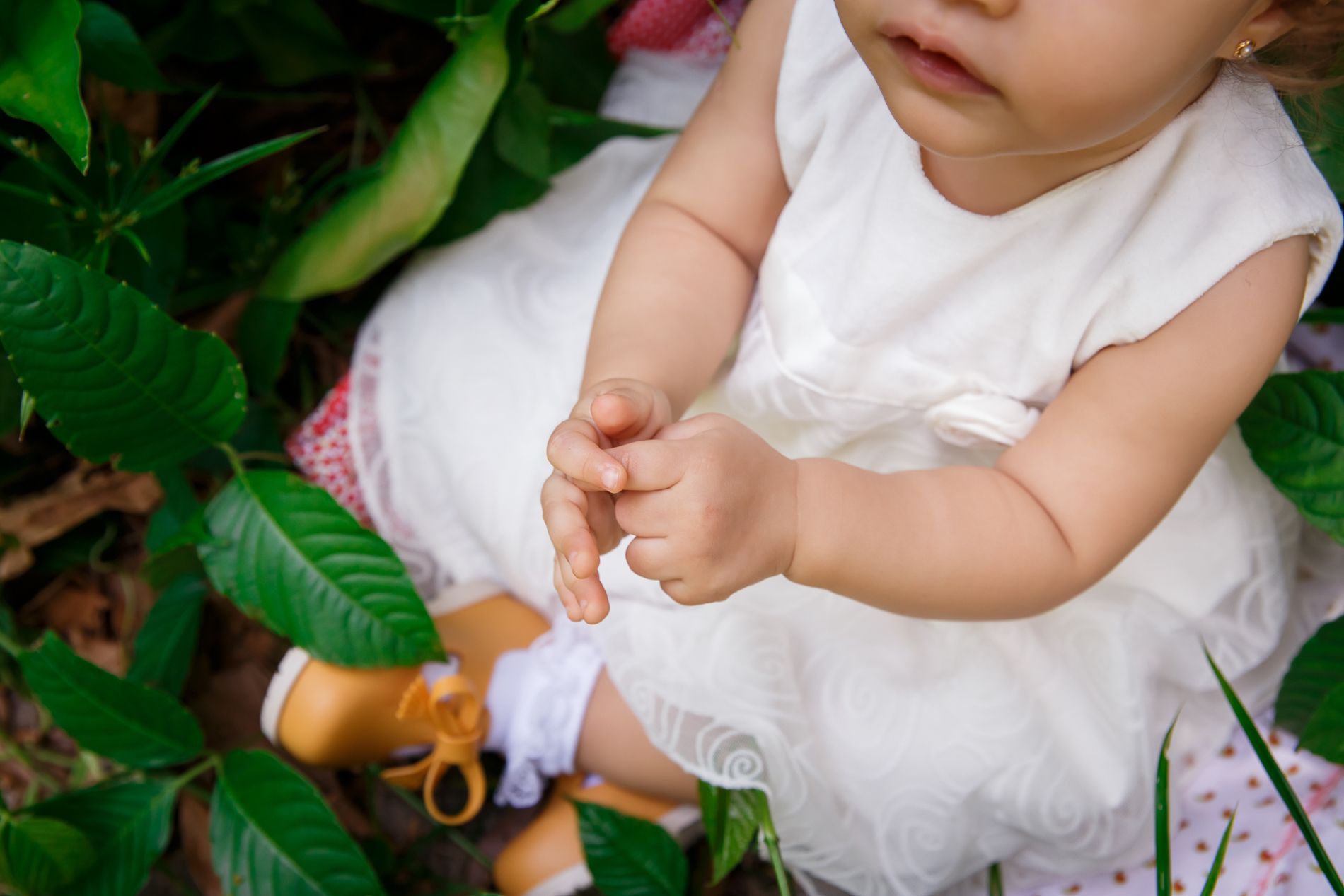 O Maravilhoso Ciclo de Um Ano: Encerrando o Acompanhamento da Milena com um Ensaio Familiar no Parque Lage - 2 - 23