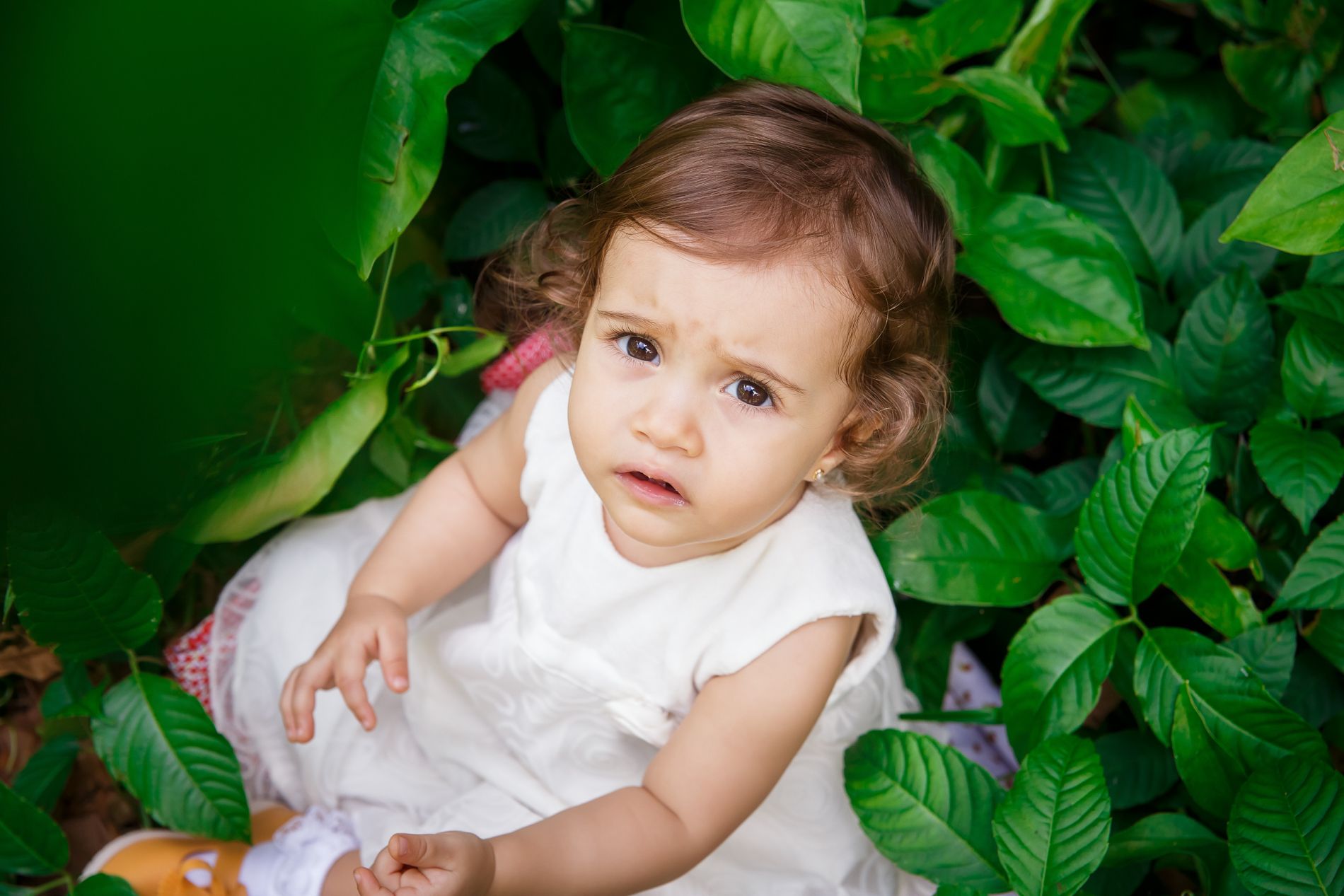 O Maravilhoso Ciclo de Um Ano: Encerrando o Acompanhamento da Milena com um Ensaio Familiar no Parque Lage - 2 - 24