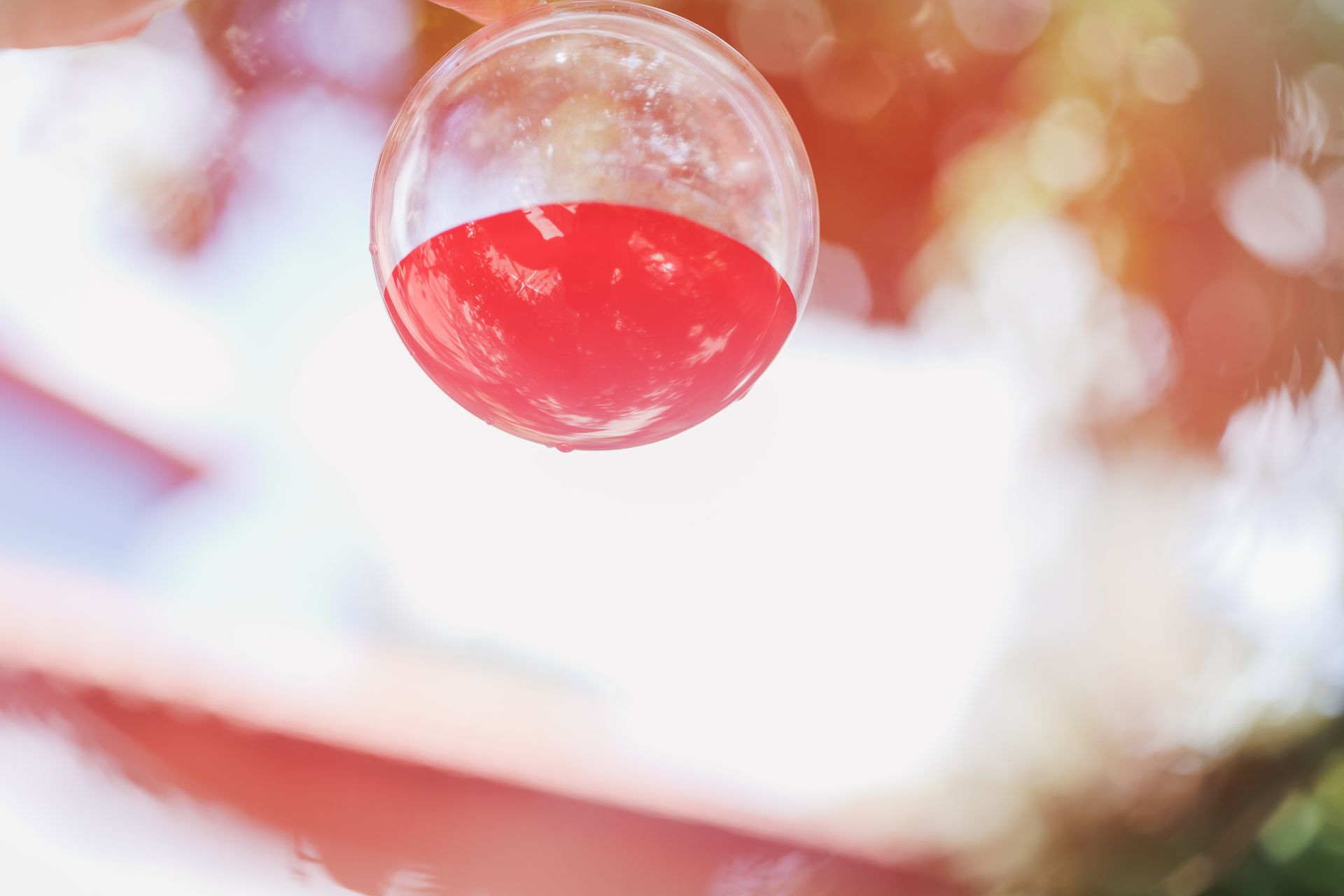 "Semeando Água": Uma Instalação Artística em Defesa das Florestas e Recursos Hídricos - 2 - 12