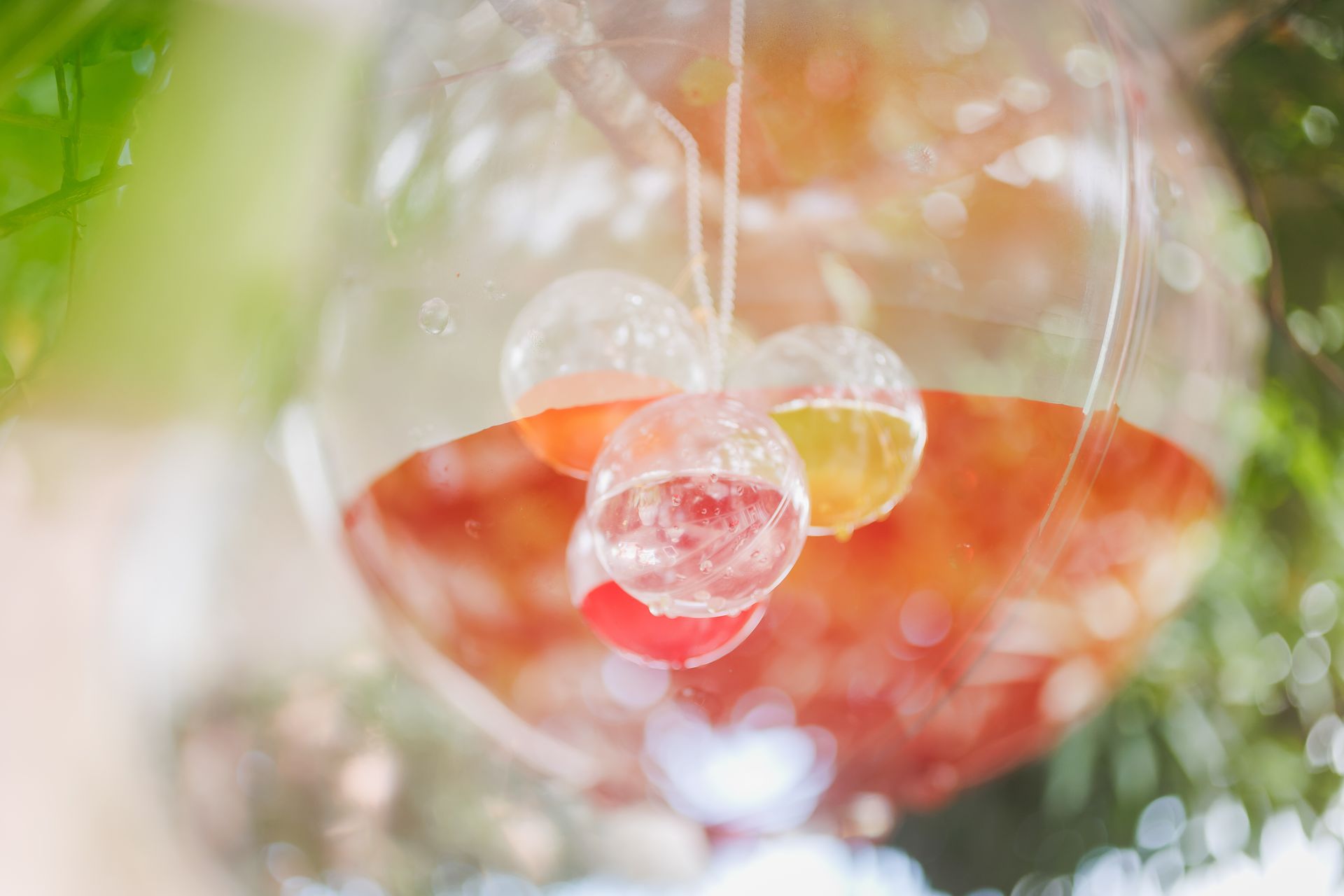 "Semeando Água": Uma Instalação Artística em Defesa das Florestas e Recursos Hídricos - 2 - 11