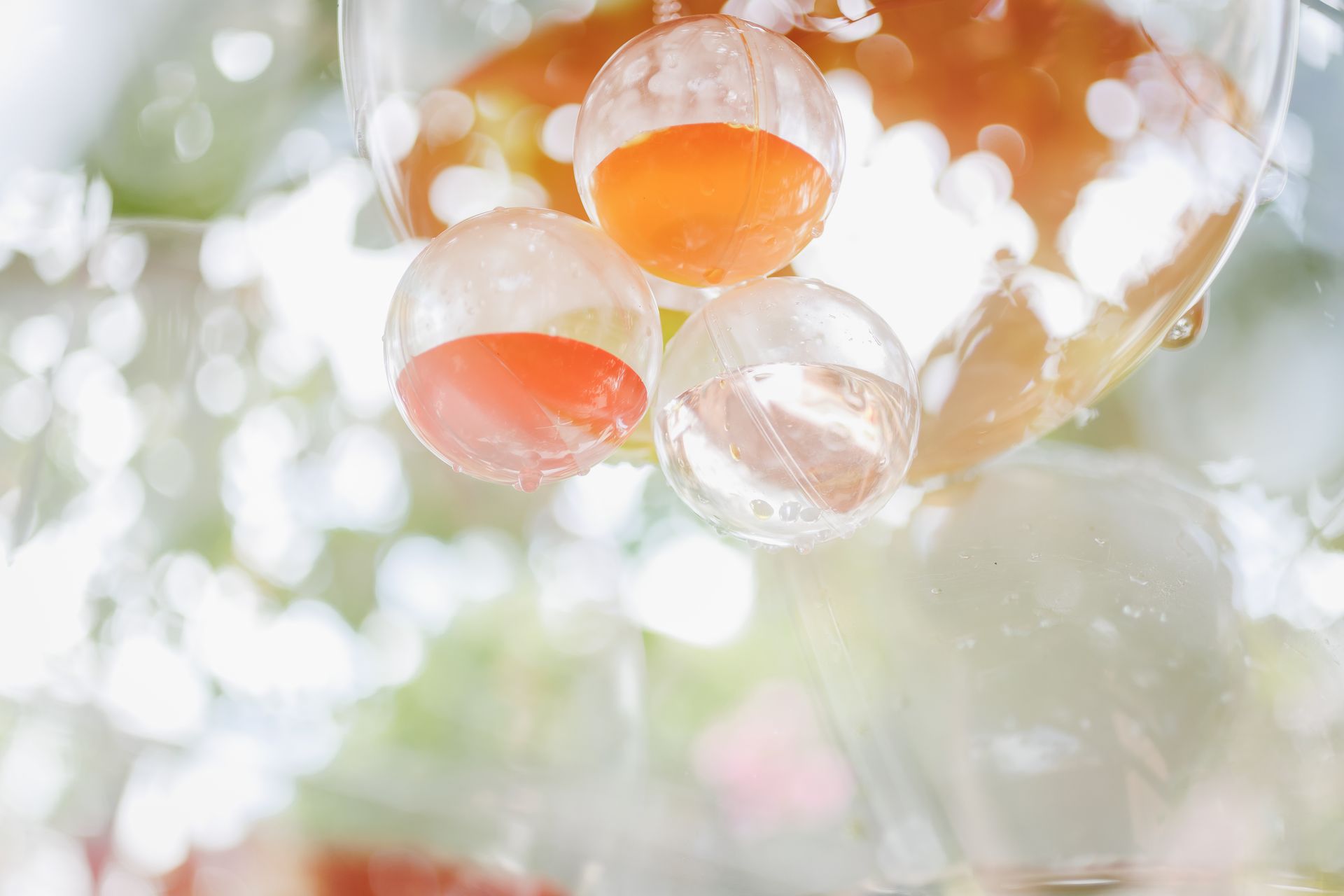 "Semeando Água": Uma Instalação Artística em Defesa das Florestas e Recursos Hídricos - 2 - 8