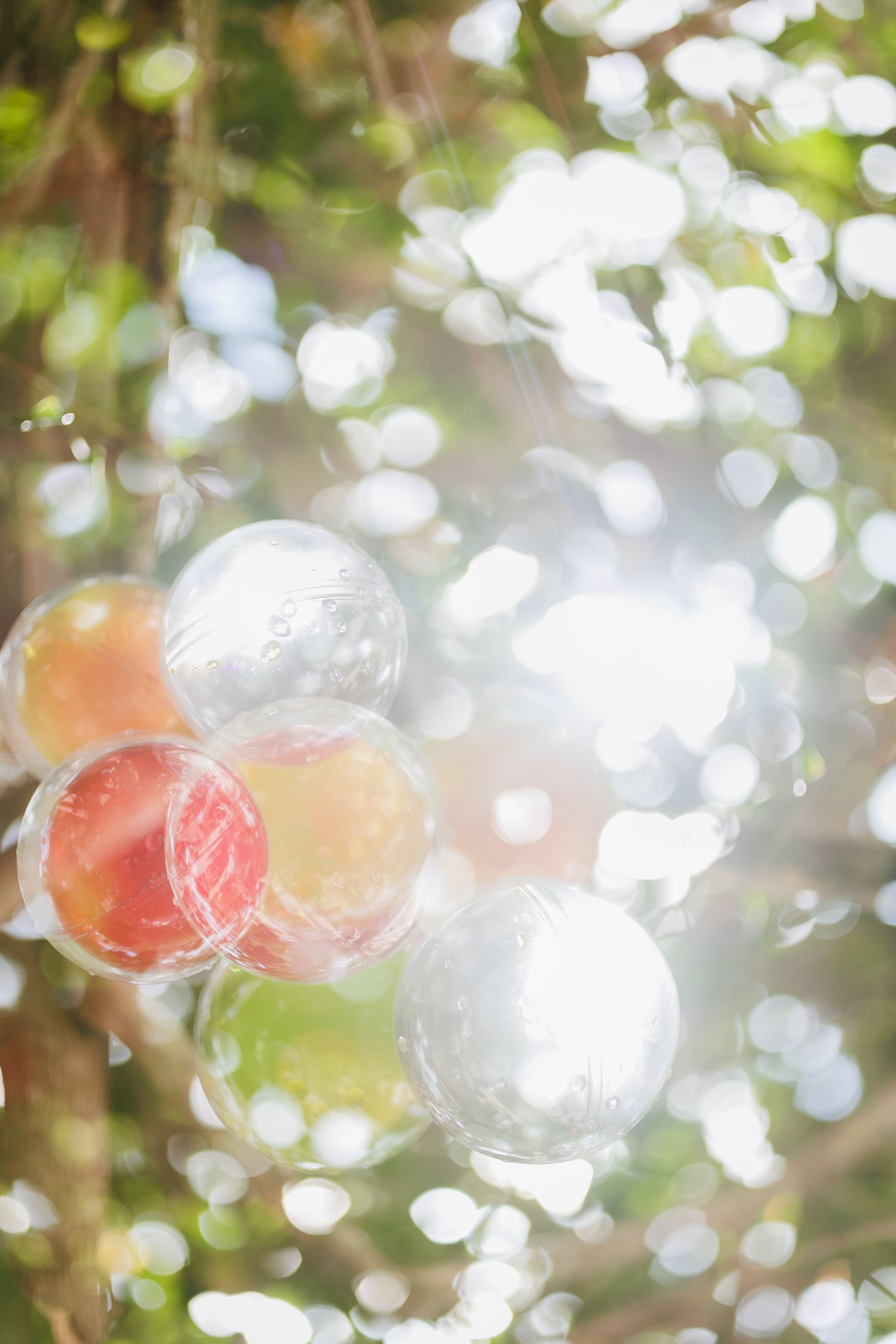 "Semeando Água": Uma Instalação Artística em Defesa das Florestas e Recursos Hídricos - 2 - 6