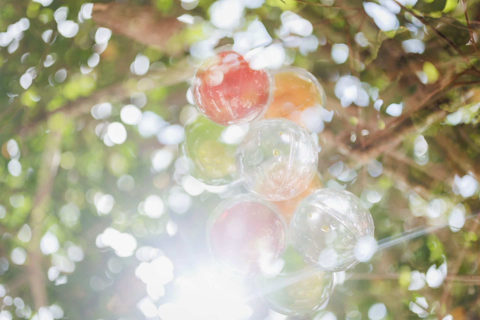 "Semeando Água": Uma Instalação Artística em Defesa das Florestas e Recursos Hídricos - 2 - 1