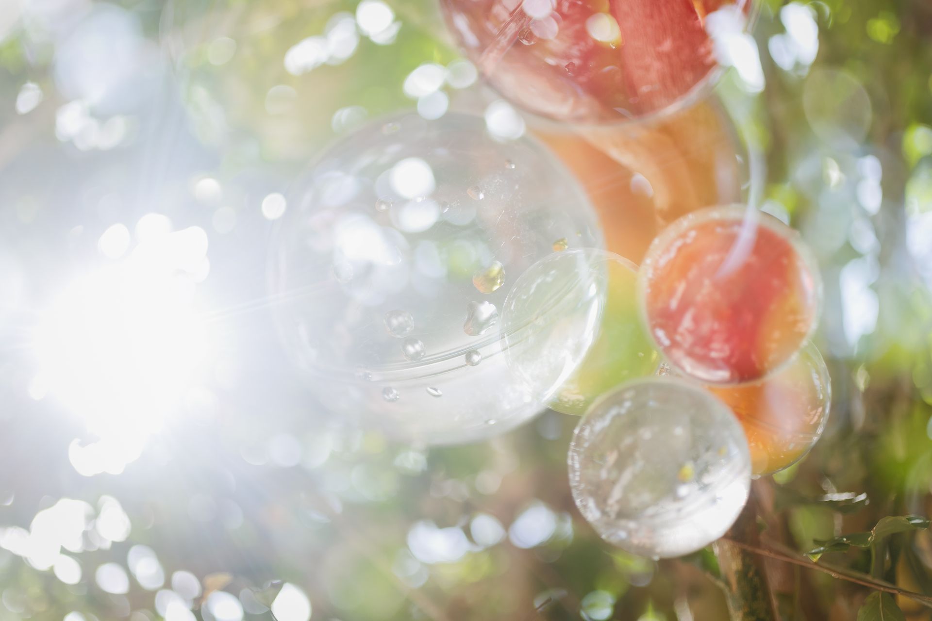 "Semeando Água": Uma Instalação Artística em Defesa das Florestas e Recursos Hídricos - 2 - 4