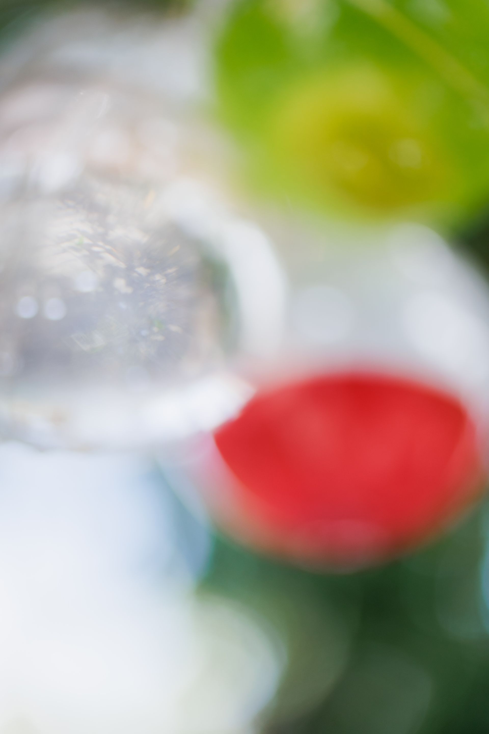 "Semeando Água": Uma Instalação Artística em Defesa das Florestas e Recursos Hídricos - 2 - 9