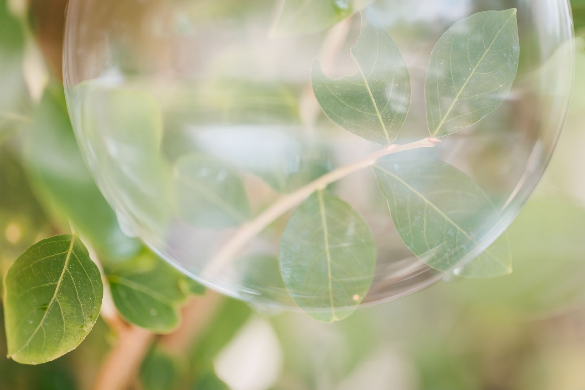 "Semeando Água": Uma Instalação Artística em Defesa das Florestas e Recursos Hídricos - 2 - 5