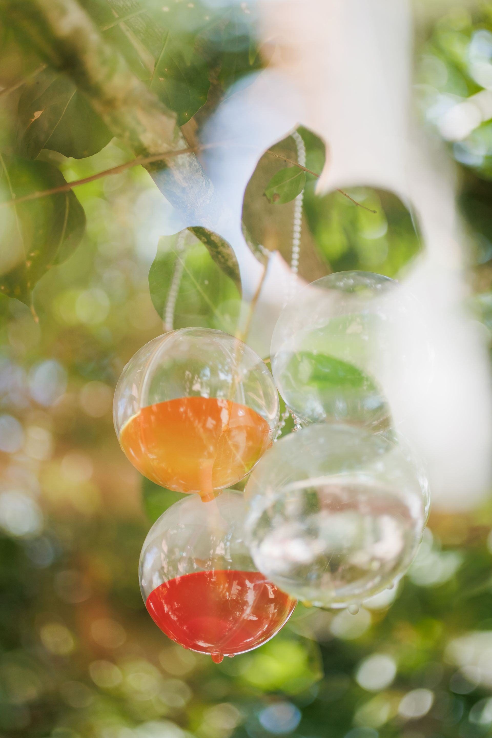 "Semeando Água": Uma Instalação Artística em Defesa das Florestas e Recursos Hídricos - 2 - 2