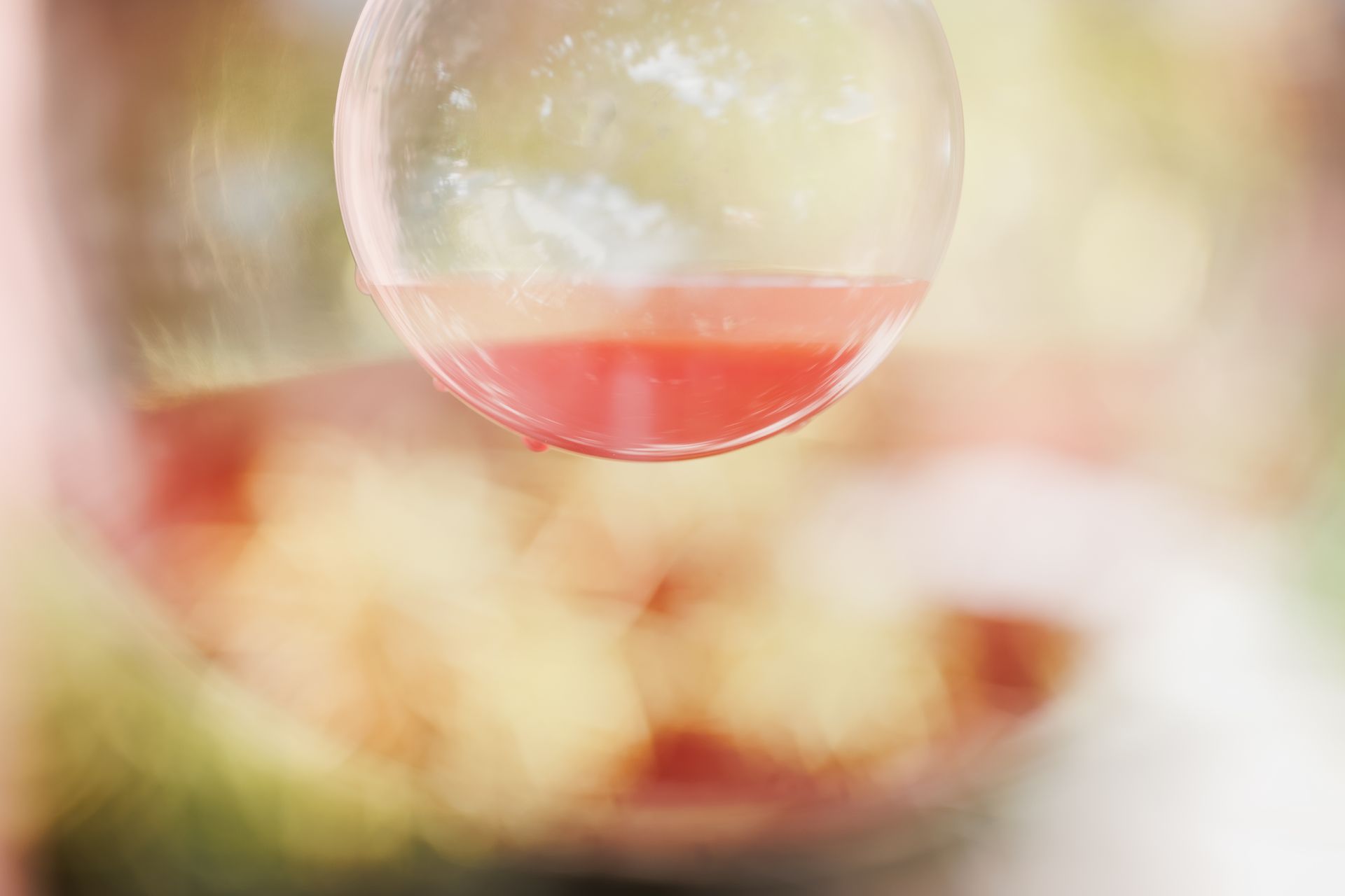 "Semeando Água": Uma Instalação Artística em Defesa das Florestas e Recursos Hídricos - 2 - 14