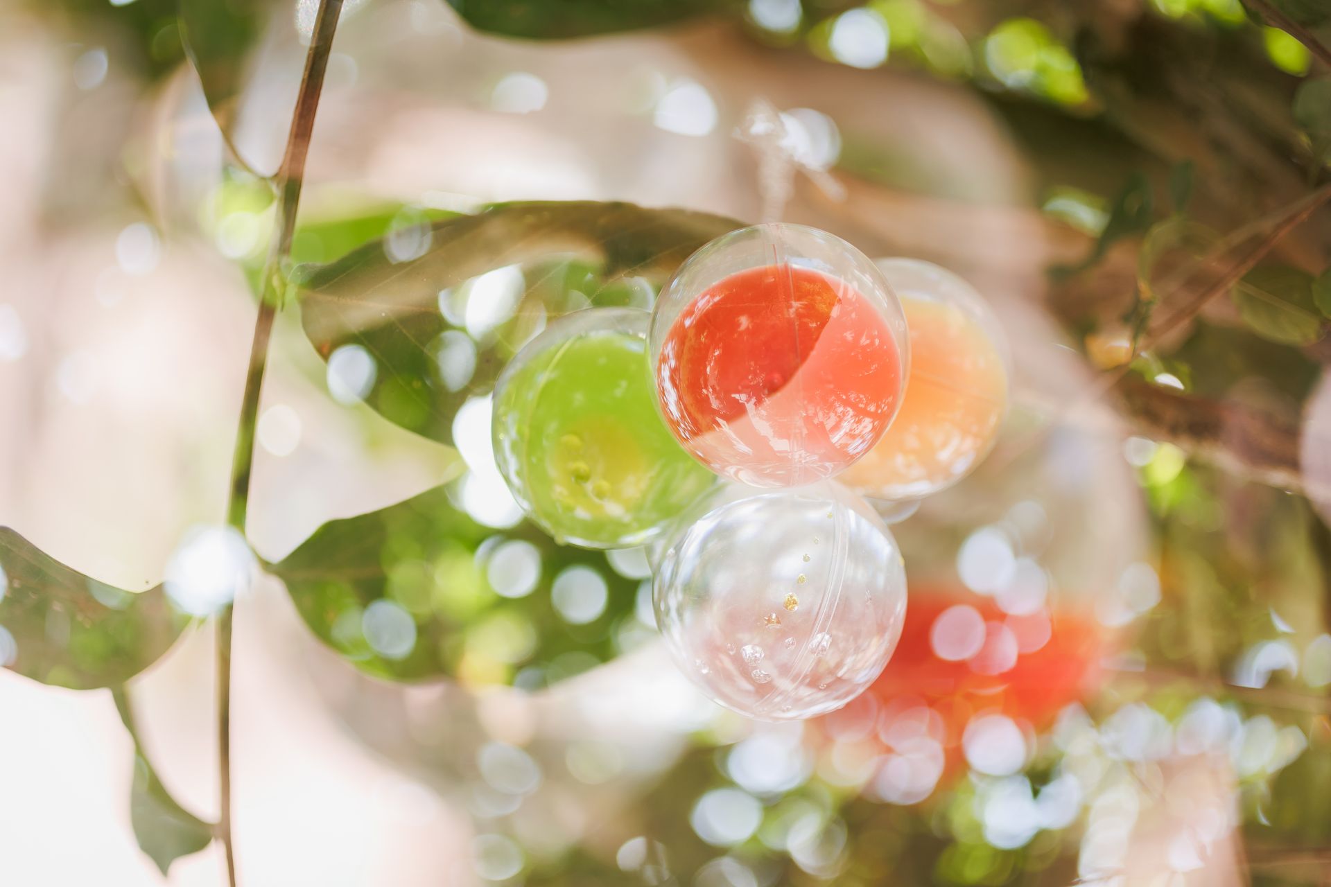 "Semeando Água": Uma Instalação Artística em Defesa das Florestas e Recursos Hídricos - 2 - 3