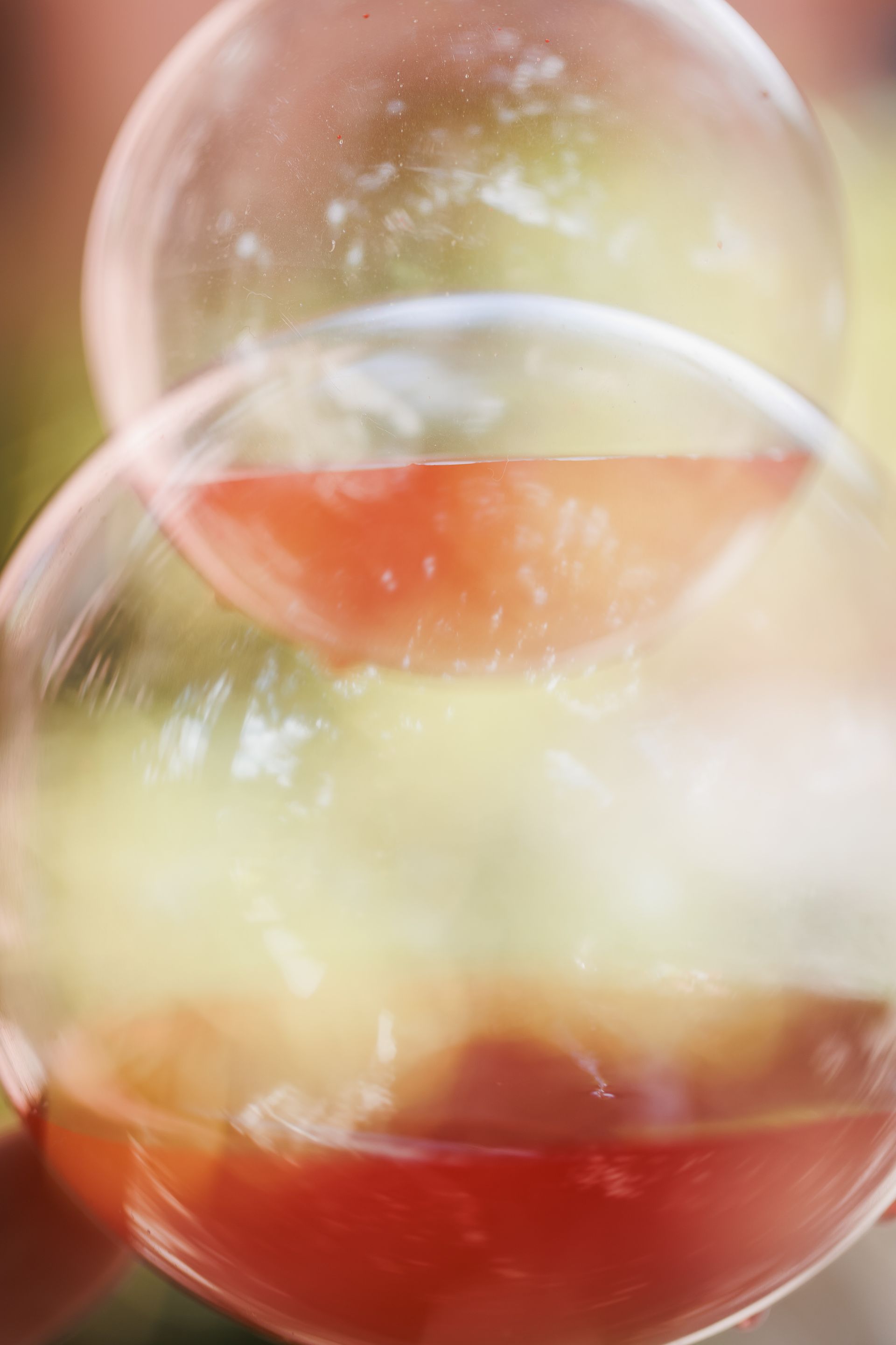 "Semeando Água": Uma Instalação Artística em Defesa das Florestas e Recursos Hídricos - 2 - 15