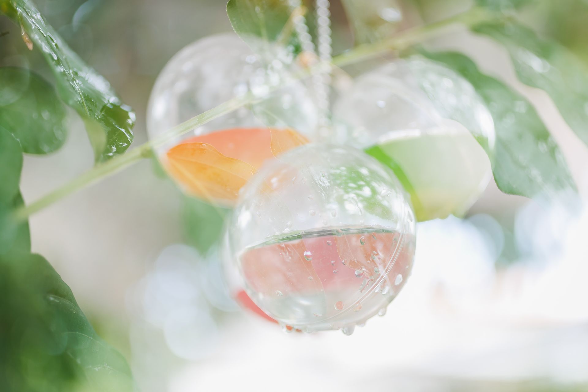 "Semeando Água": Uma Instalação Artística em Defesa das Florestas e Recursos Hídricos - 2 - 10