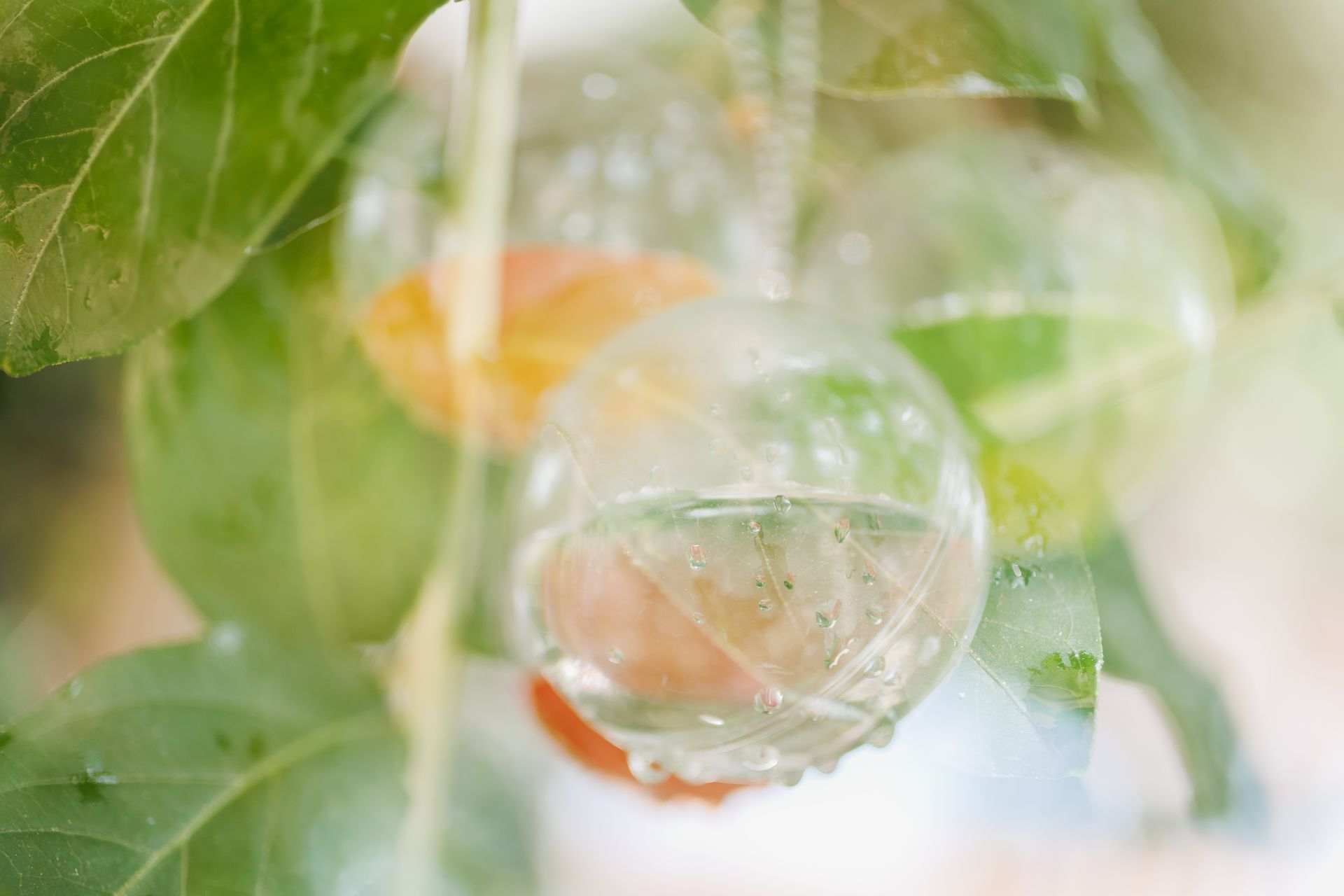 "Semeando Água": Uma Instalação Artística em Defesa das Florestas e Recursos Hídricos - 2 - 17