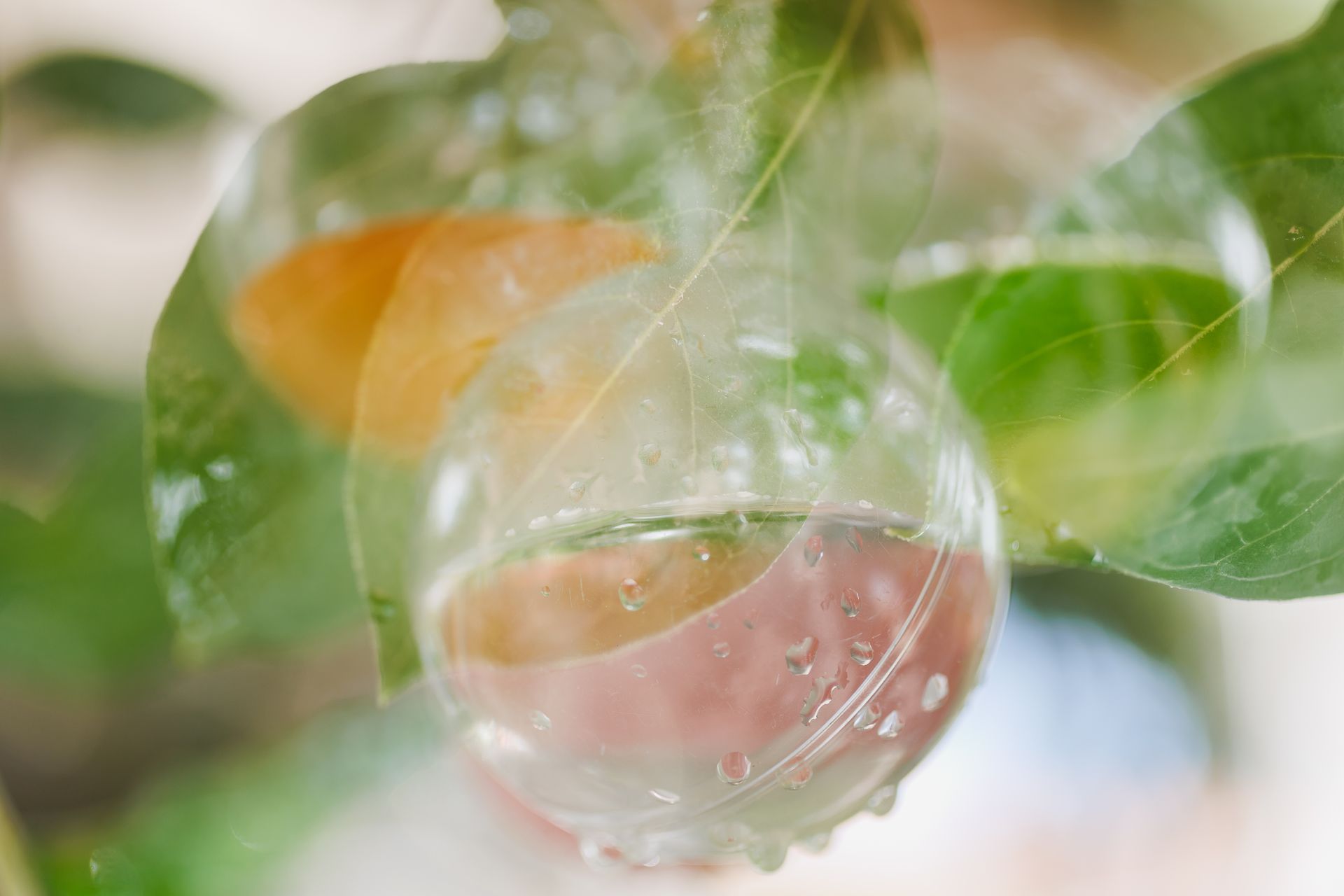 "Semeando Água": Uma Instalação Artística em Defesa das Florestas e Recursos Hídricos - 2 - 18