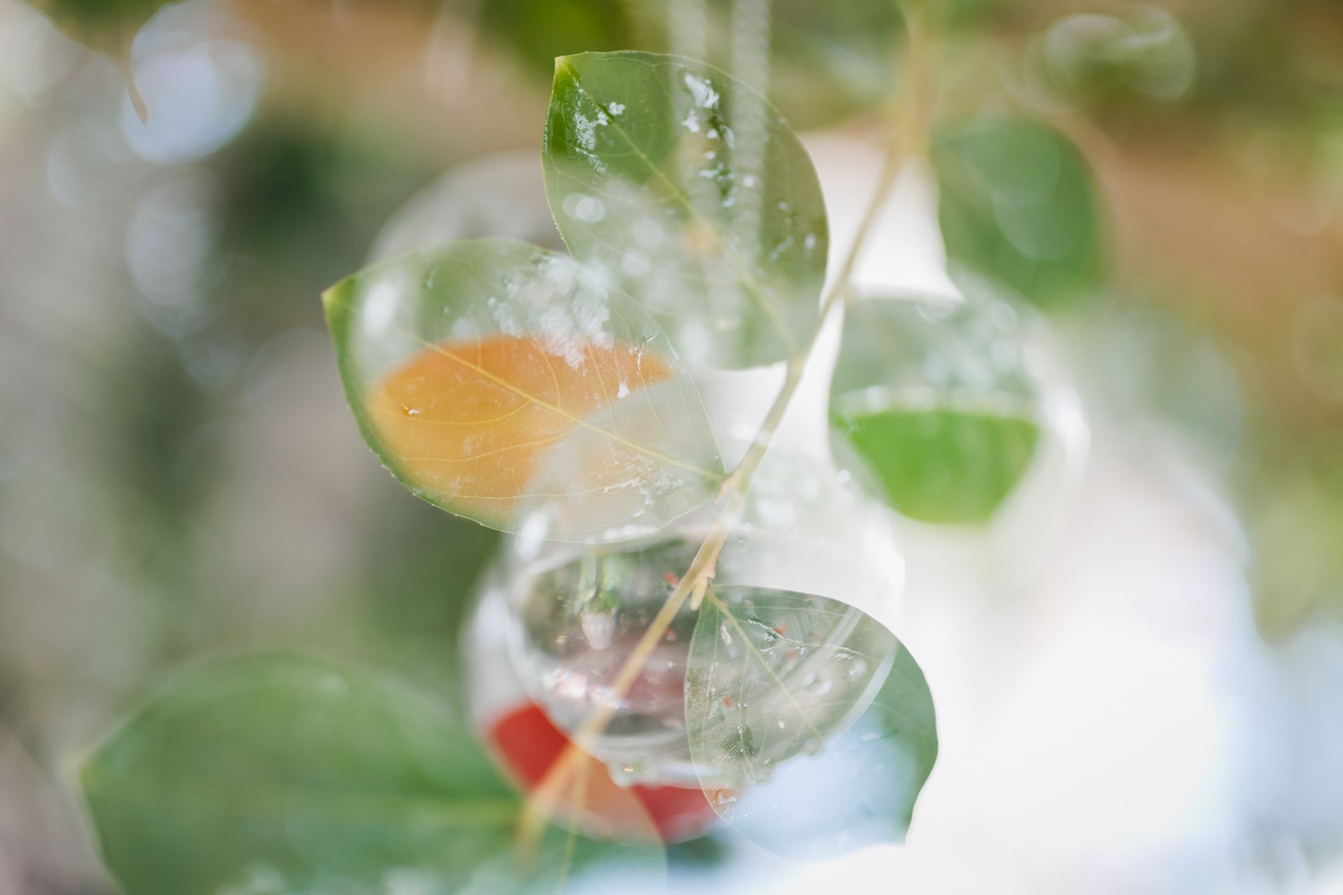 Semeando Água - 2 - 6