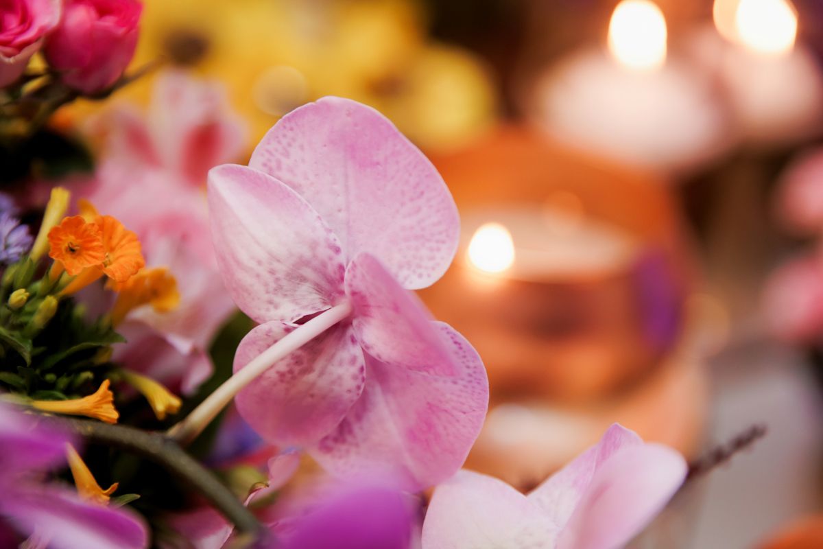 Festas de Aniversário - 2 - 57