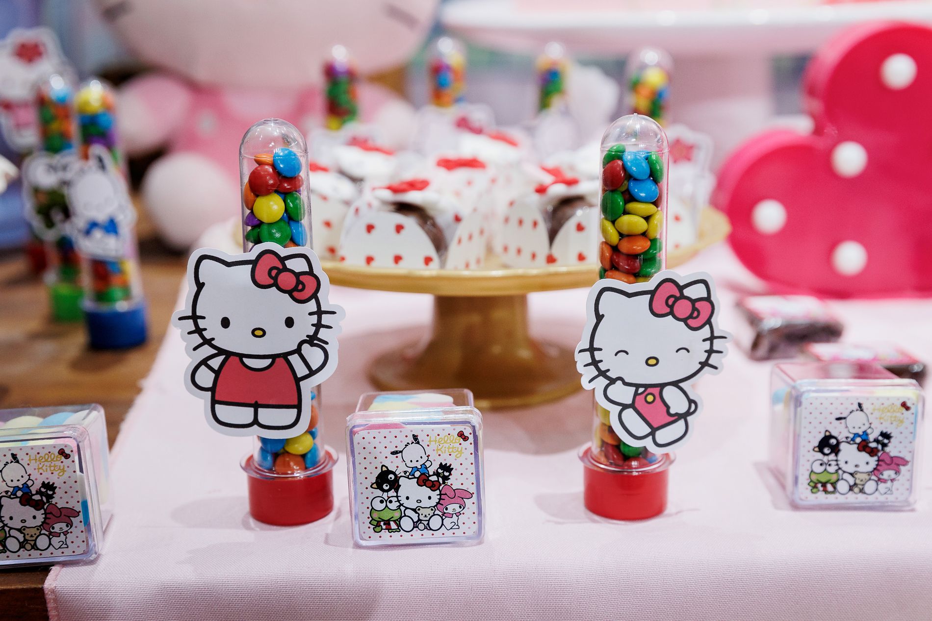 A Festa de Aniversário da Milena com Tema Hello Kitty - 2 - 7