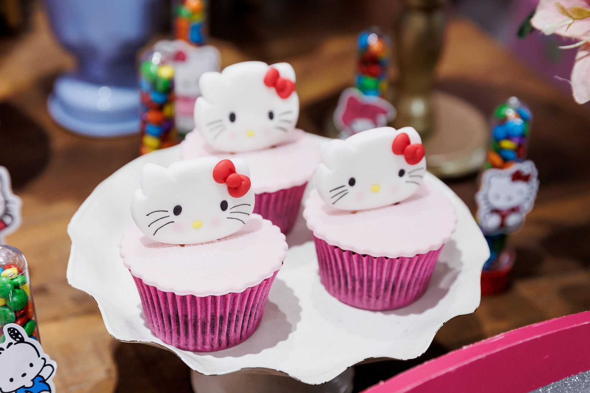 A Festa de Aniversário da Milena com Tema Hello Kitty - 2 - 8