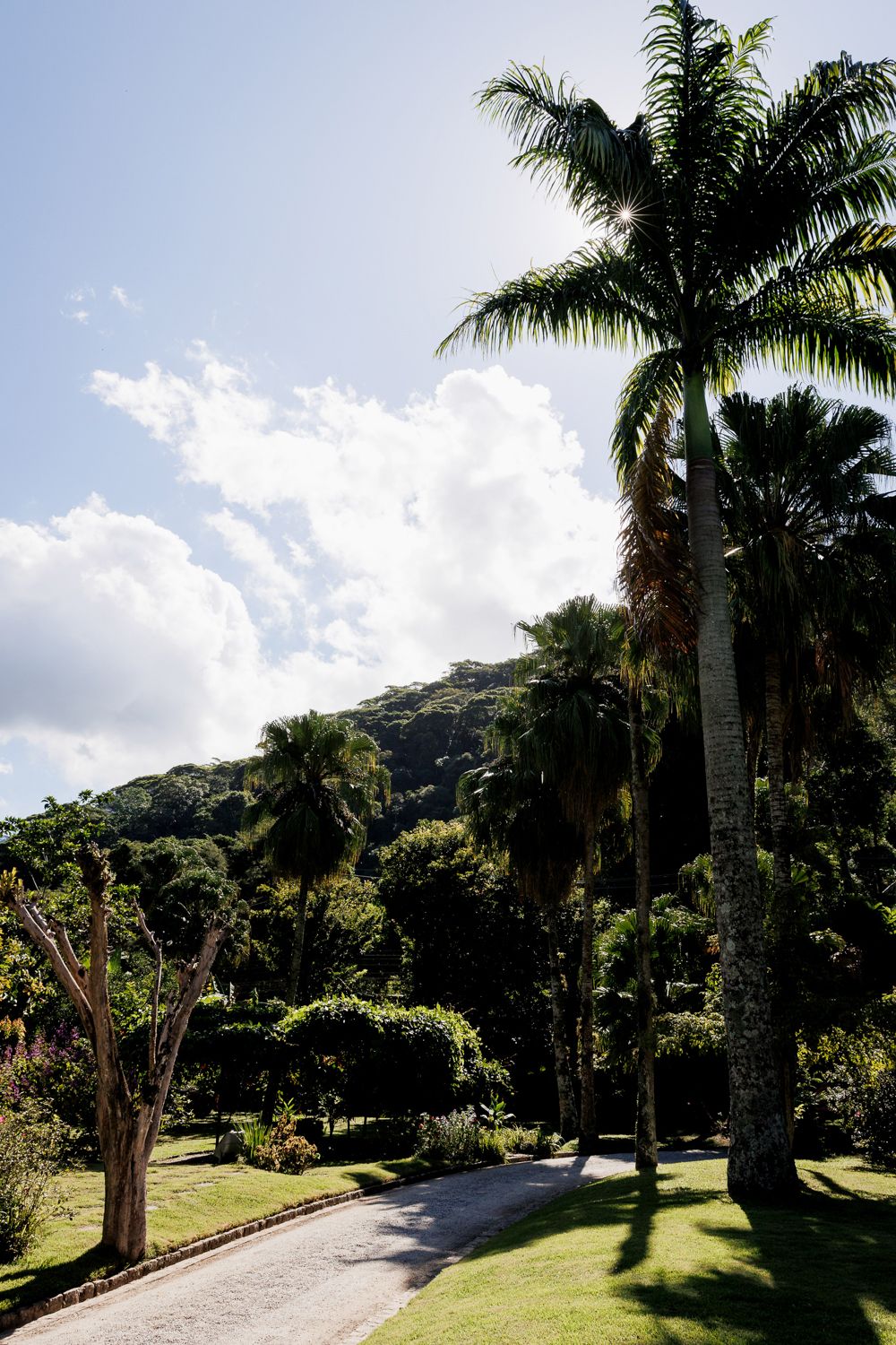 Capturando a Essência da Festa de 15 Anos da Sofia na Casa Jardins do Alto - 2 - 57