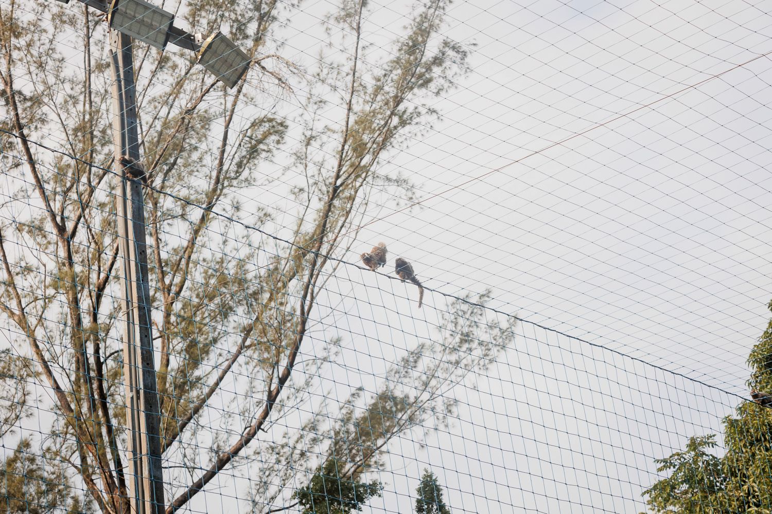 Campeonato de Futebol na Festa de 10 Anos do Antônio no Clube Federal, Leblon - 2 - 114