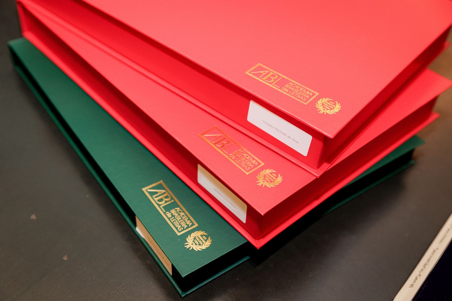 Guia Completo para Ensaios em Locações Externas: Destaque Profissional e Autenticidade - 2 - 2