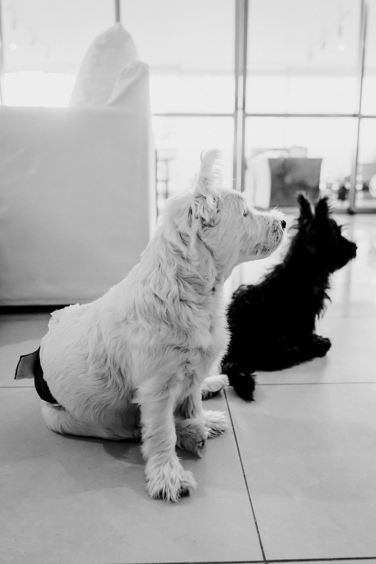 Fotografia de Família: memórias que atravessam gerações - 2 - 0