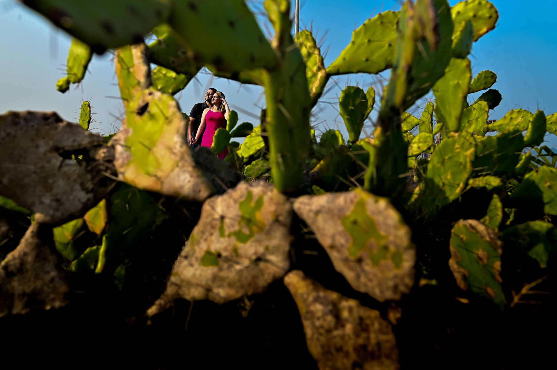 Julia & Edgar - 2 - 4