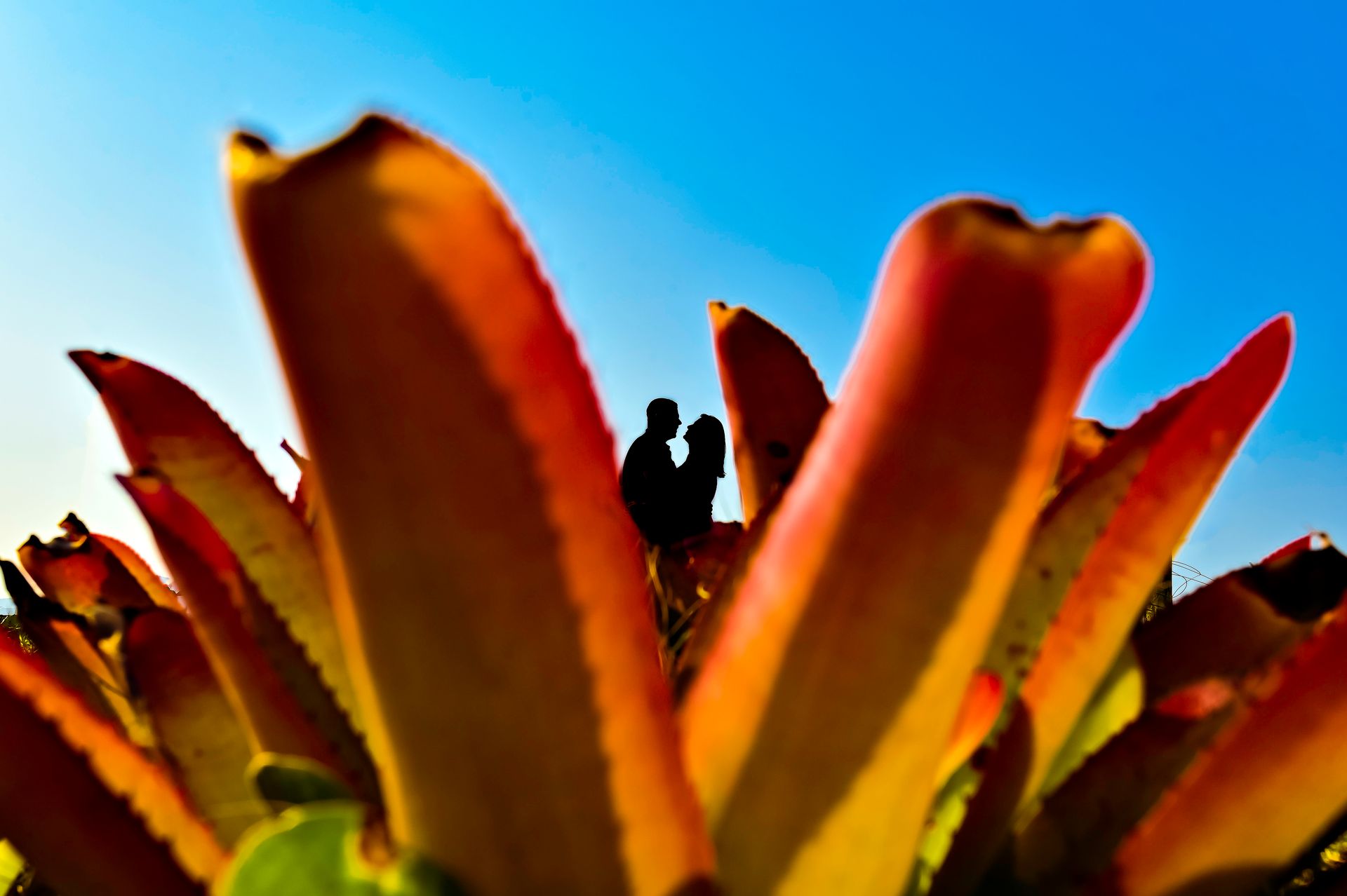 Julia & Edgar - 2 - 0