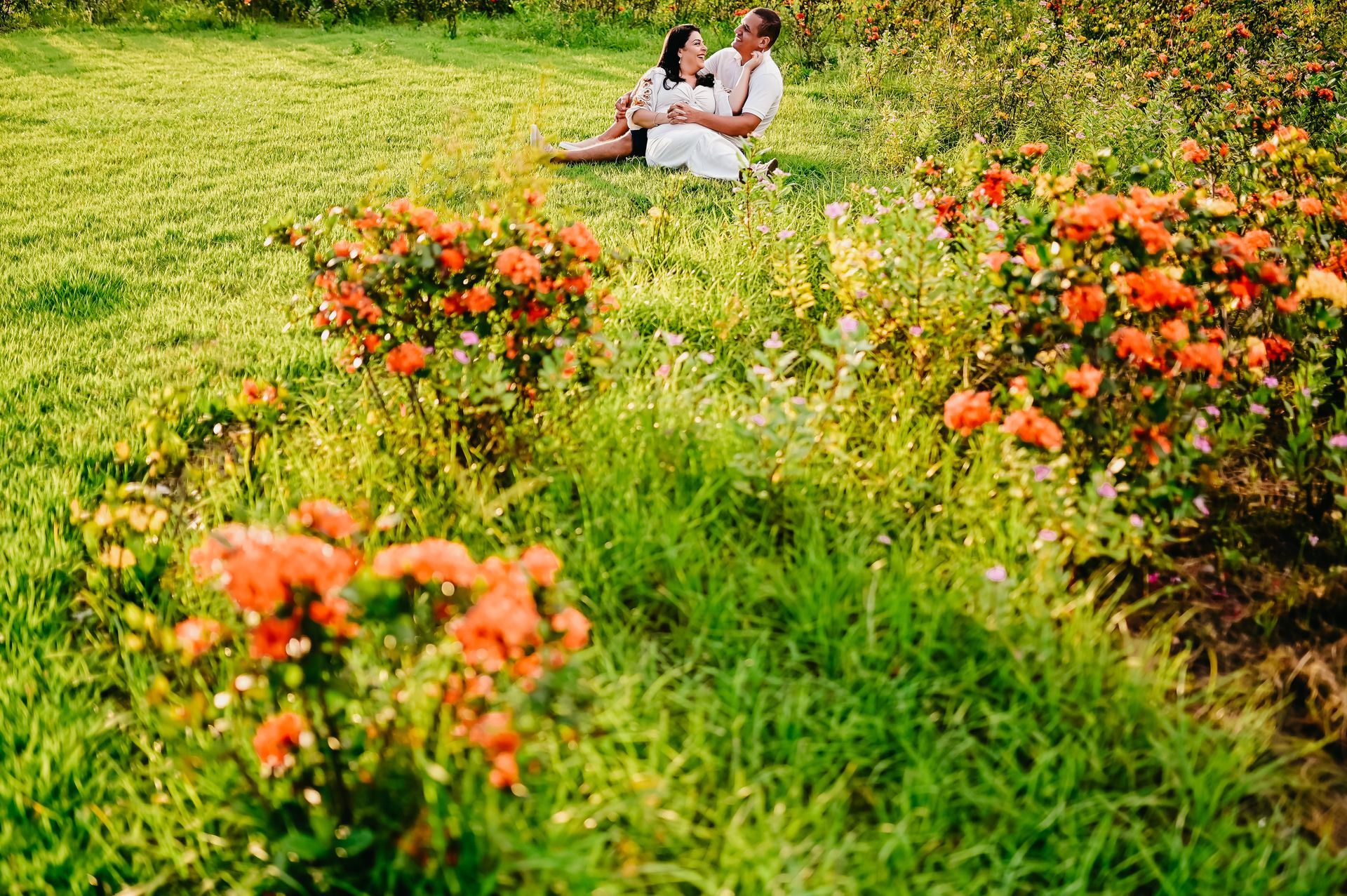 A verdadeira felicidade está na própria casa - 2 - 7