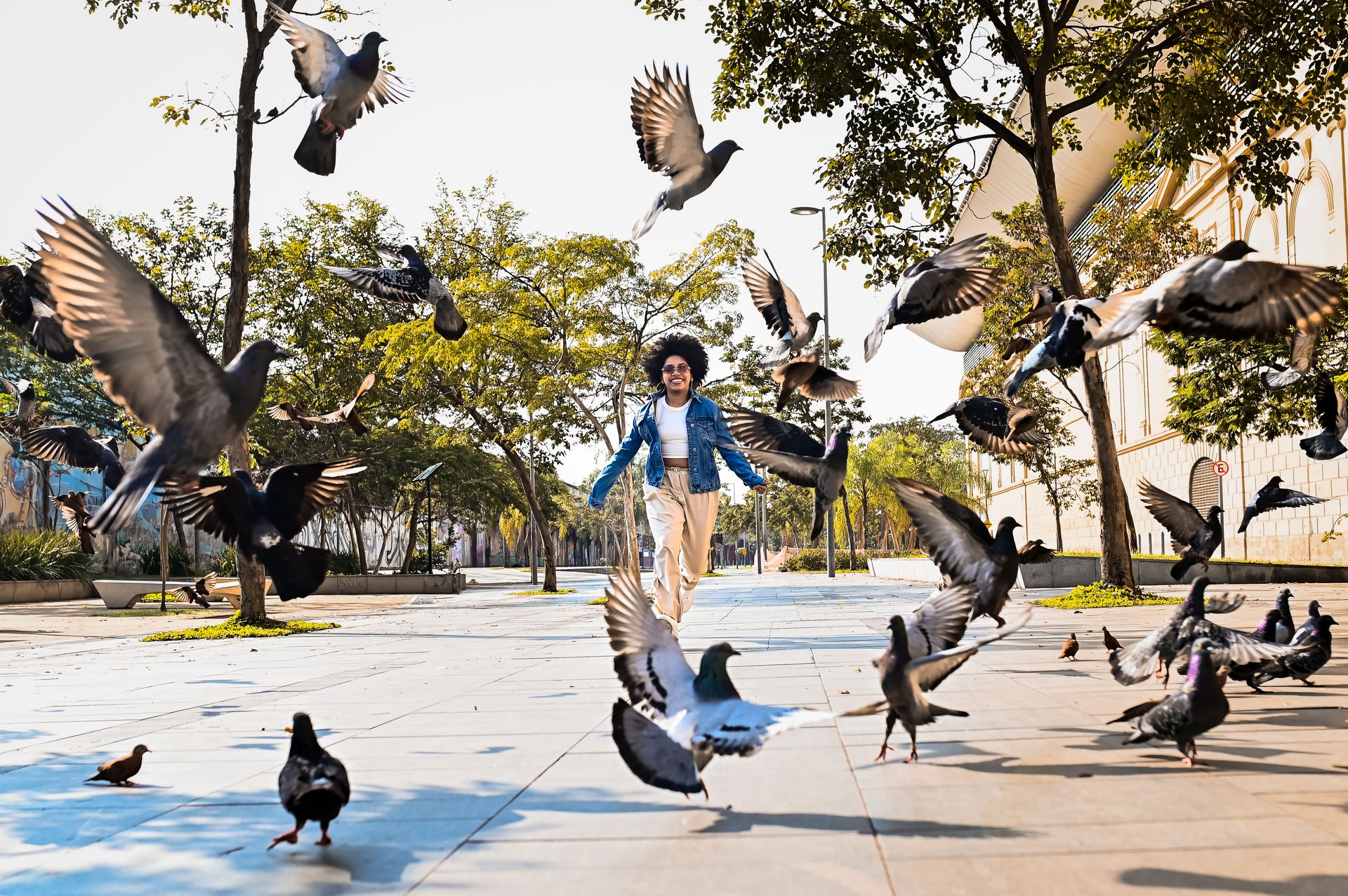 “Liz: Um Sonho de 15 Anos” - 2 - 2