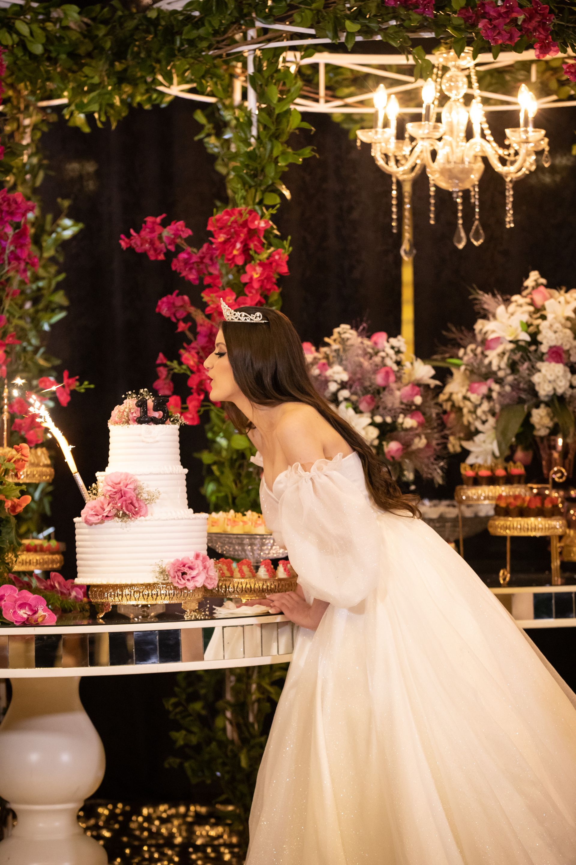 Maria Alice - Aniversário de 15 Anos - Terra Nostra Centro de Eventos + Treze de Maio - 2 - 0