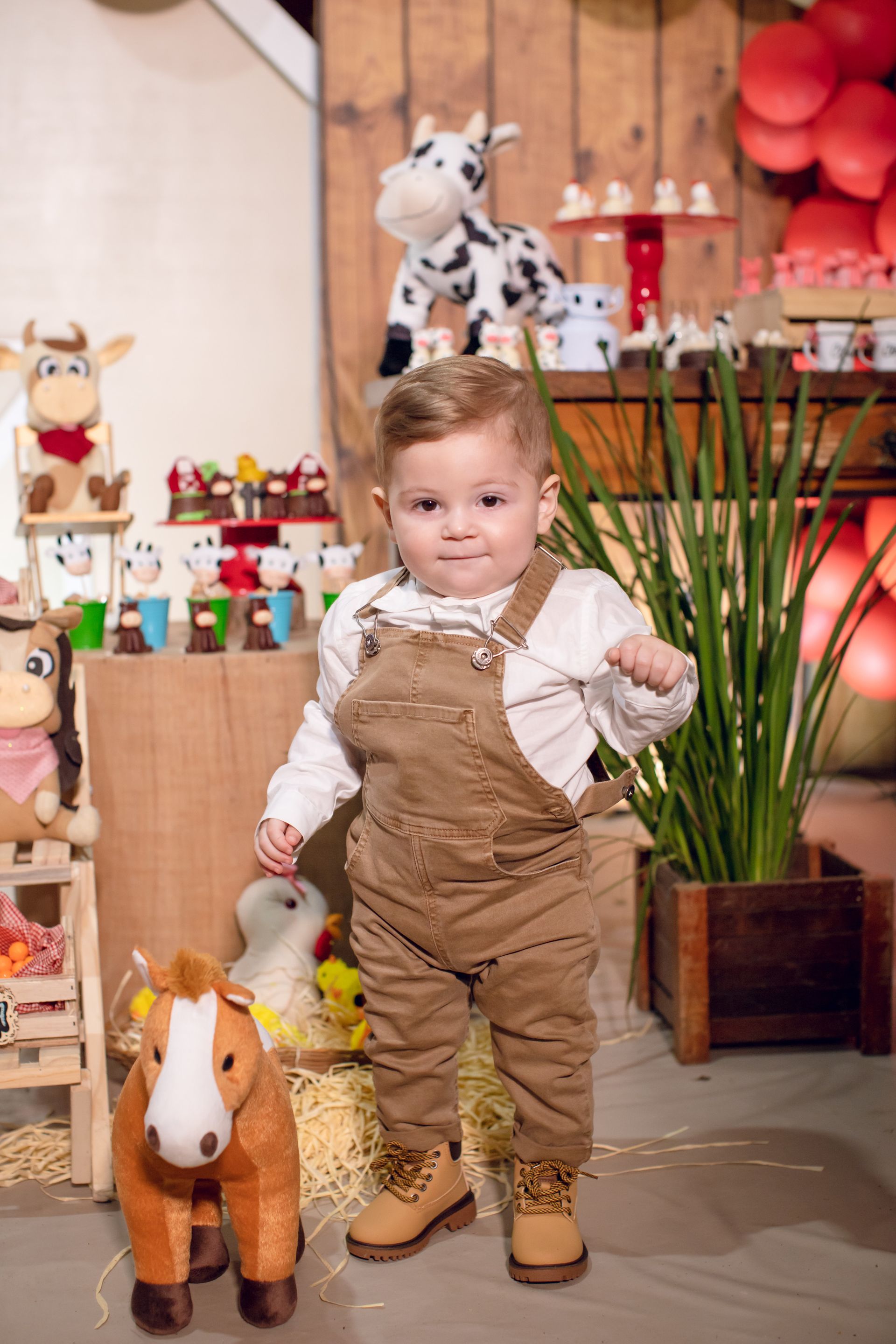 Clézio - 1 aninho - 2 - 2