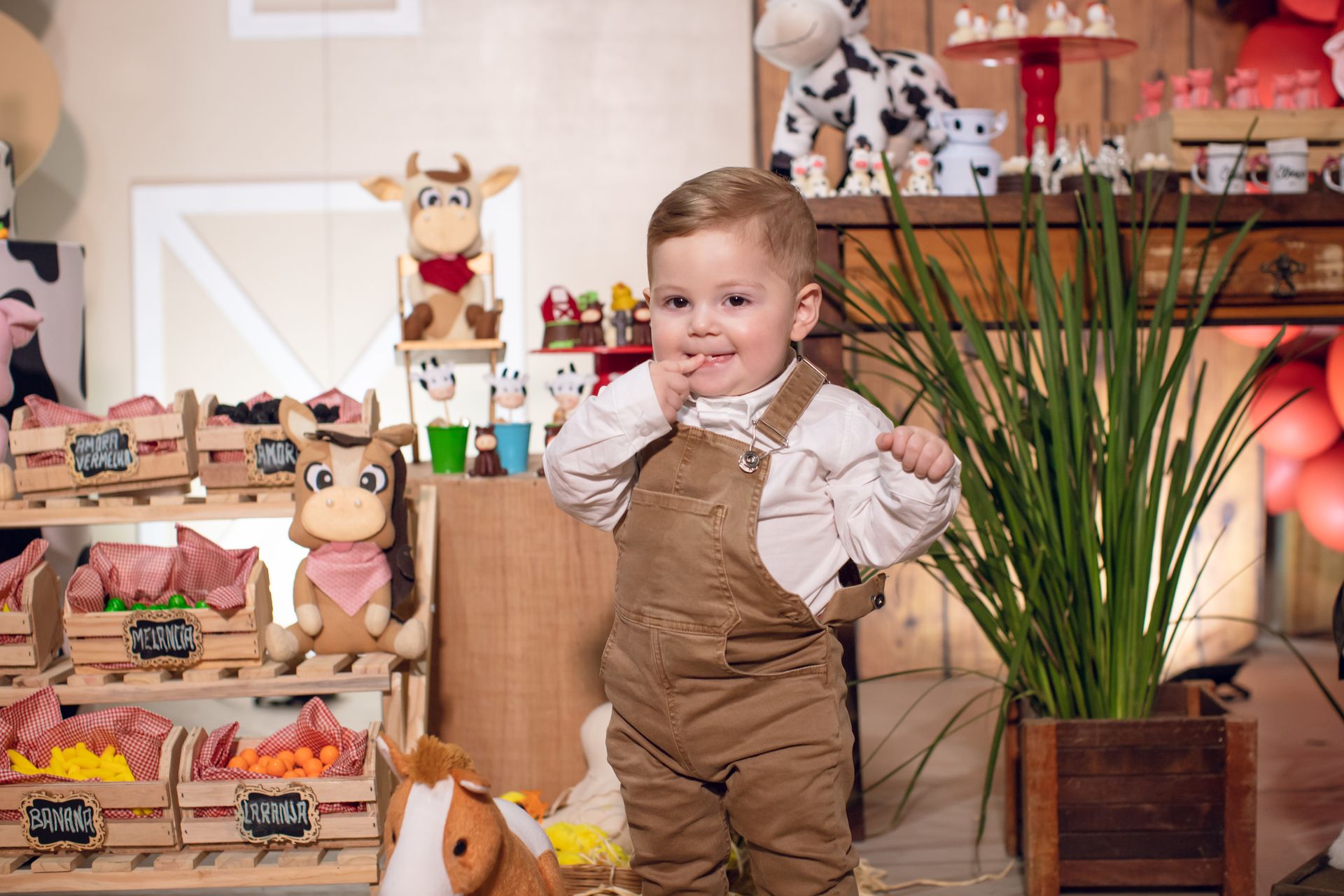 Clézio - 1 aninho - 2 - 0