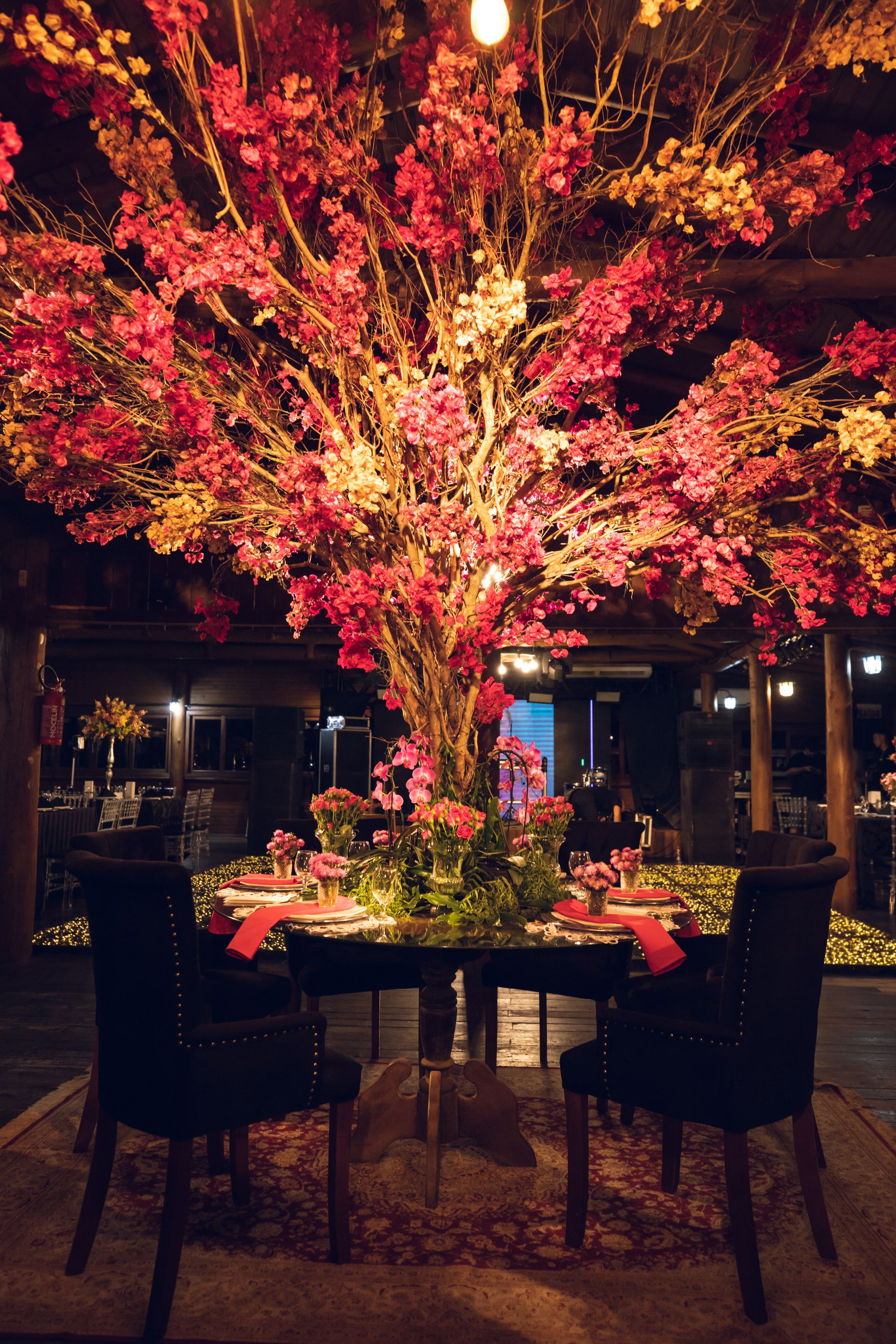 Isabella - Recepção de Formatura - 2 - 1