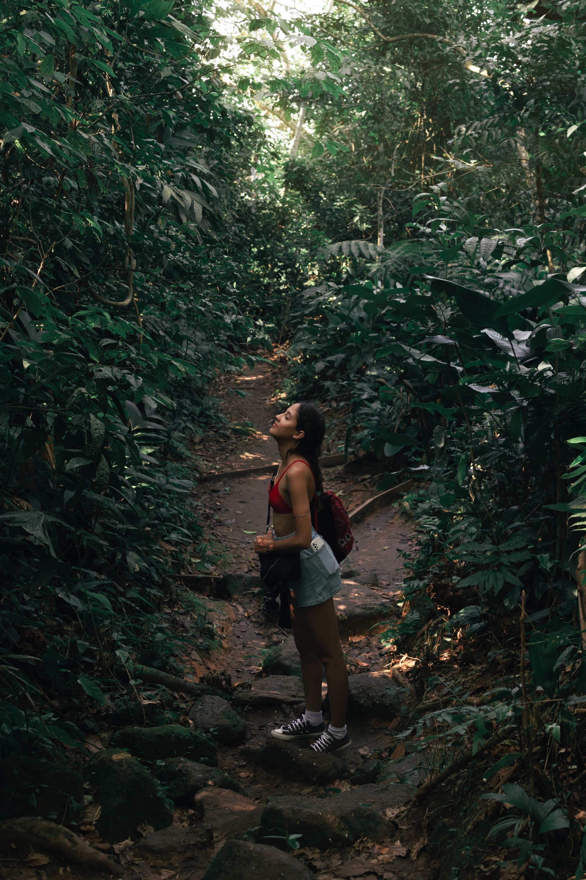 Trilha dos Surfistas pelo Parque Estadual Xixová Japuí - 2 - 1