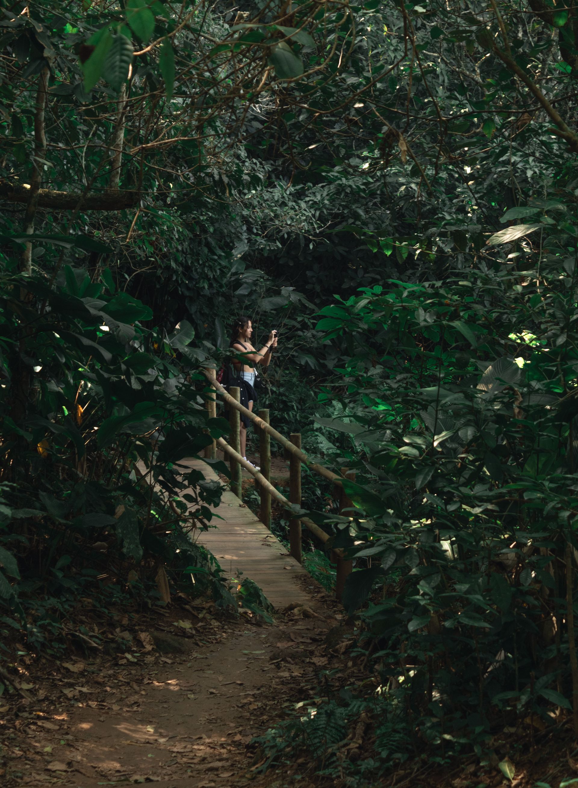 Trilha dos Surfistas pelo Parque Estadual Xixová Japuí - 4 - 0