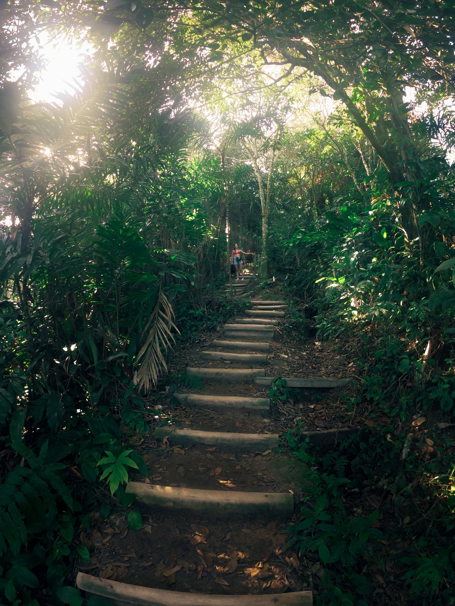 Trilha dos Surfistas pelo Parque Estadual Xixová Japuí - 4 - 2