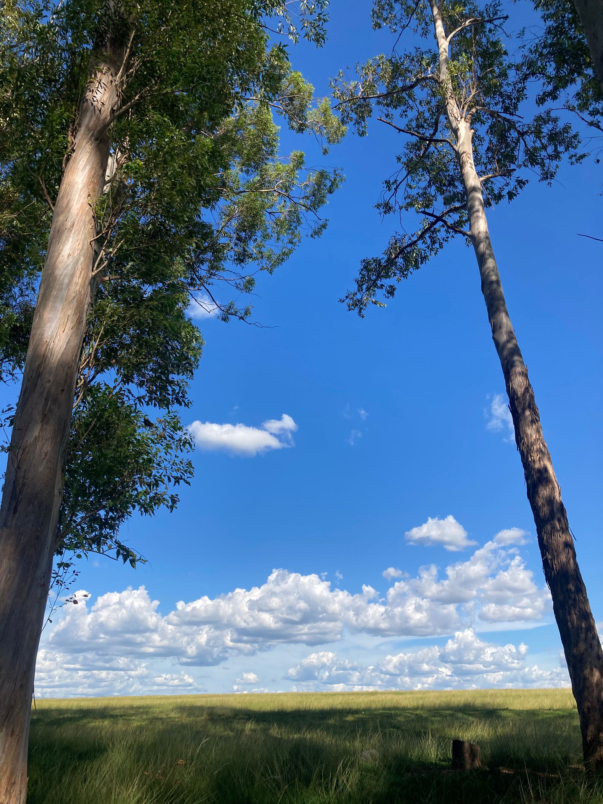 Como chegar no Espaço Zeus: O melhor Pôr do Sol de Rio Preto - SP - 2 - 1