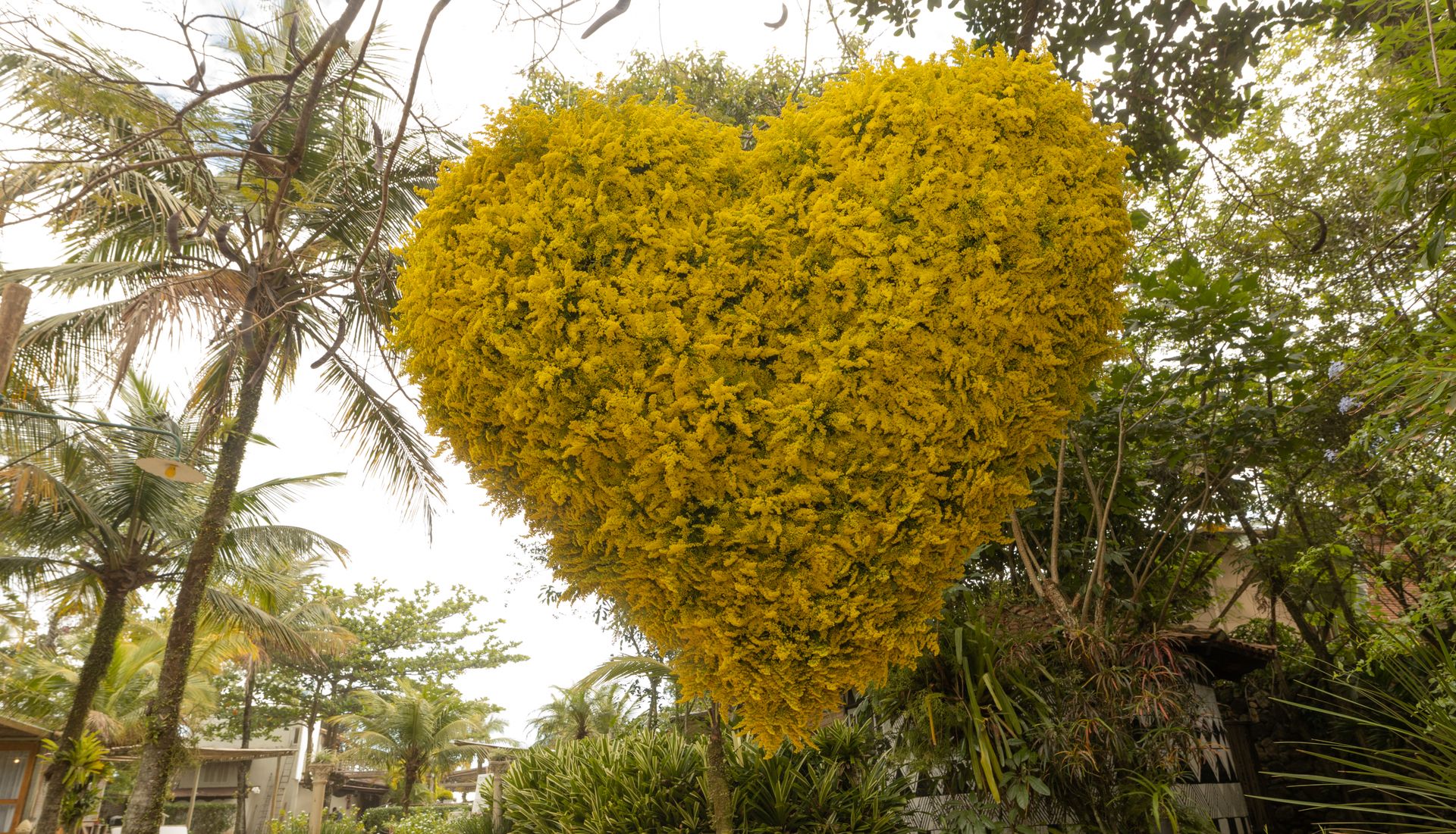 Casamento Carol e André - 1 - 0