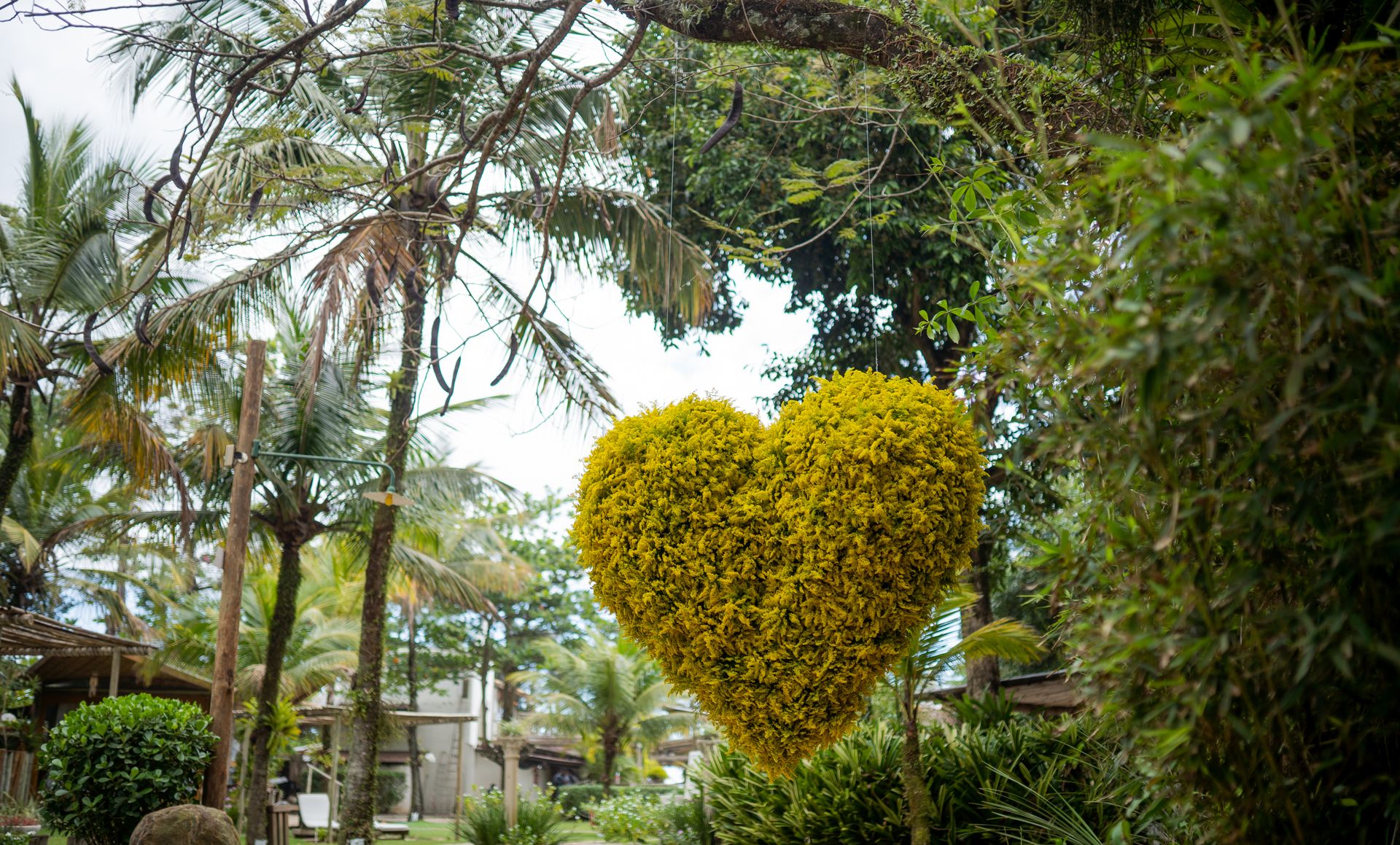 Casamento Carol e André - 1 - 2