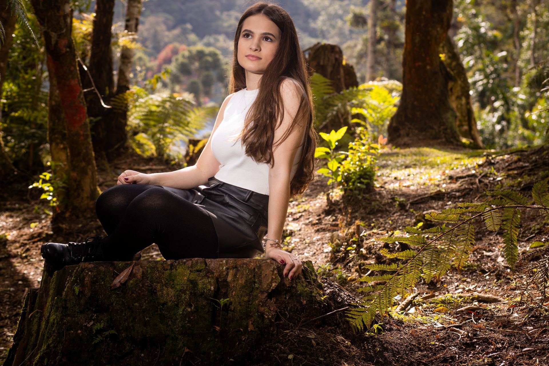 Ensaio 15 anos de Lais em Campos do Jordão - 1 - 0