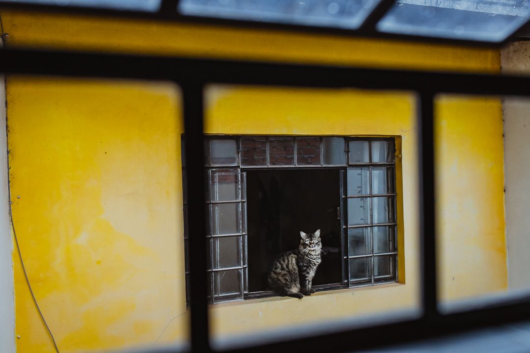 Olga Moon - Visita de Família - 1 - 12