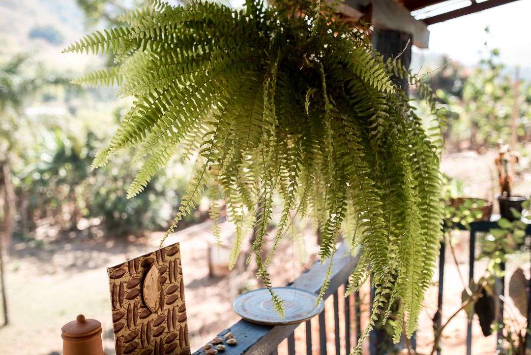 Cerimônia Pós Parto - 1 - 0