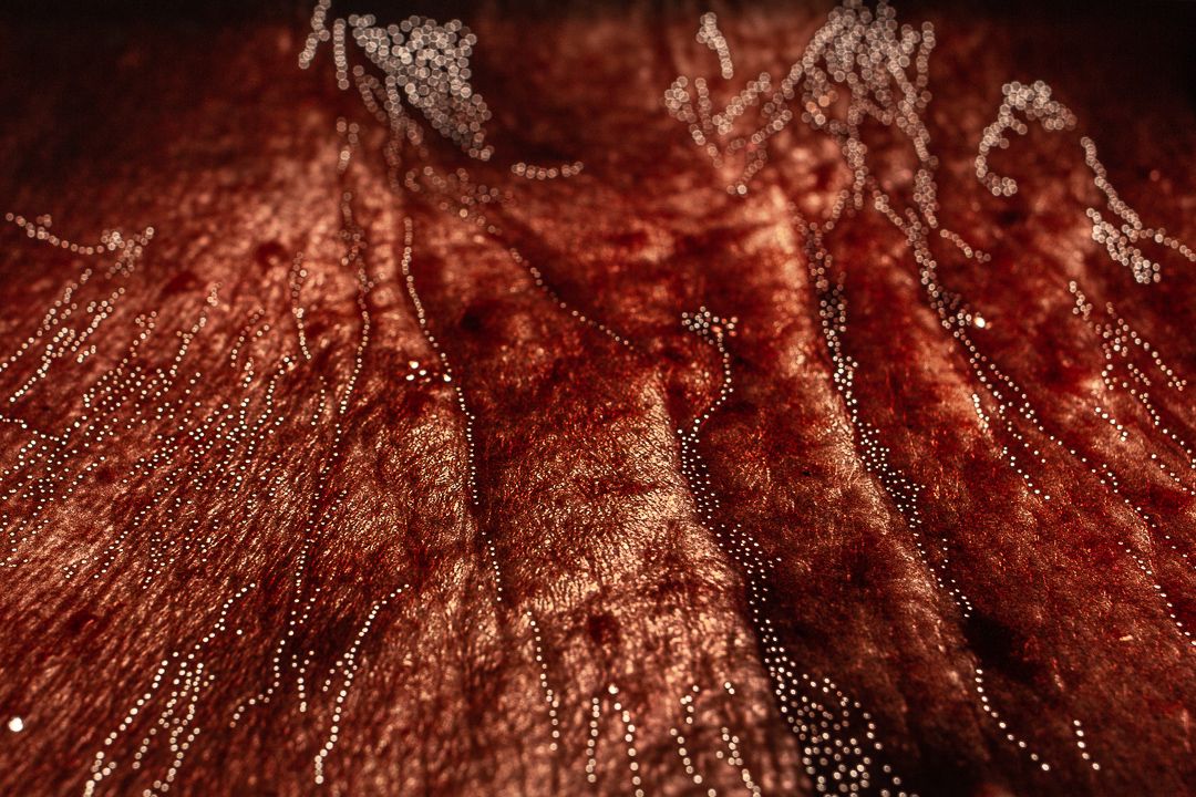 As Novas Perspectivas do Plástico - Microplásticos - 1 - 0