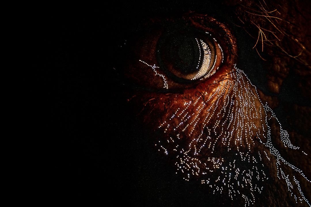 As Novas Perspectivas do Plástico - Microplásticos - 1 - 1