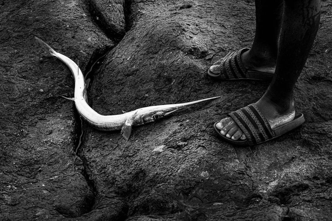 FILHOS DO MAR - 1 - 8