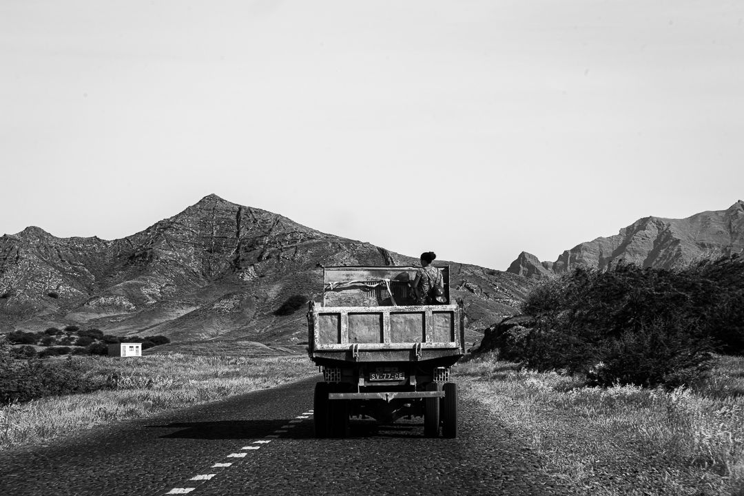 PETRIFICADOS - 1 - 2