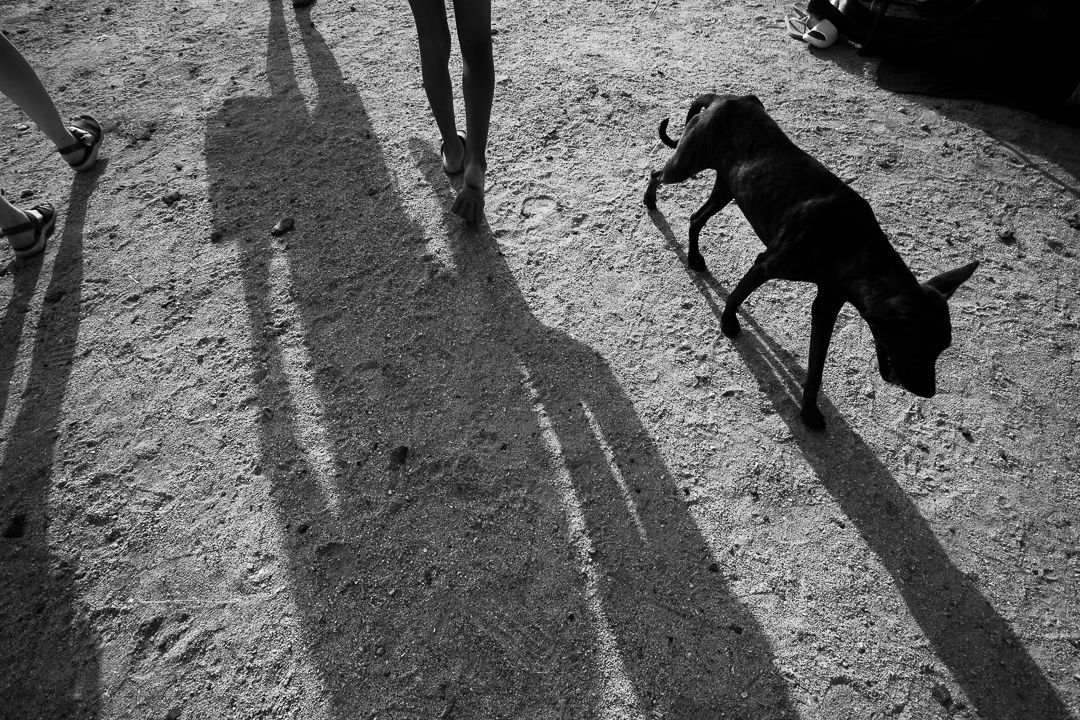 PETRIFICADOS - 1 - 8